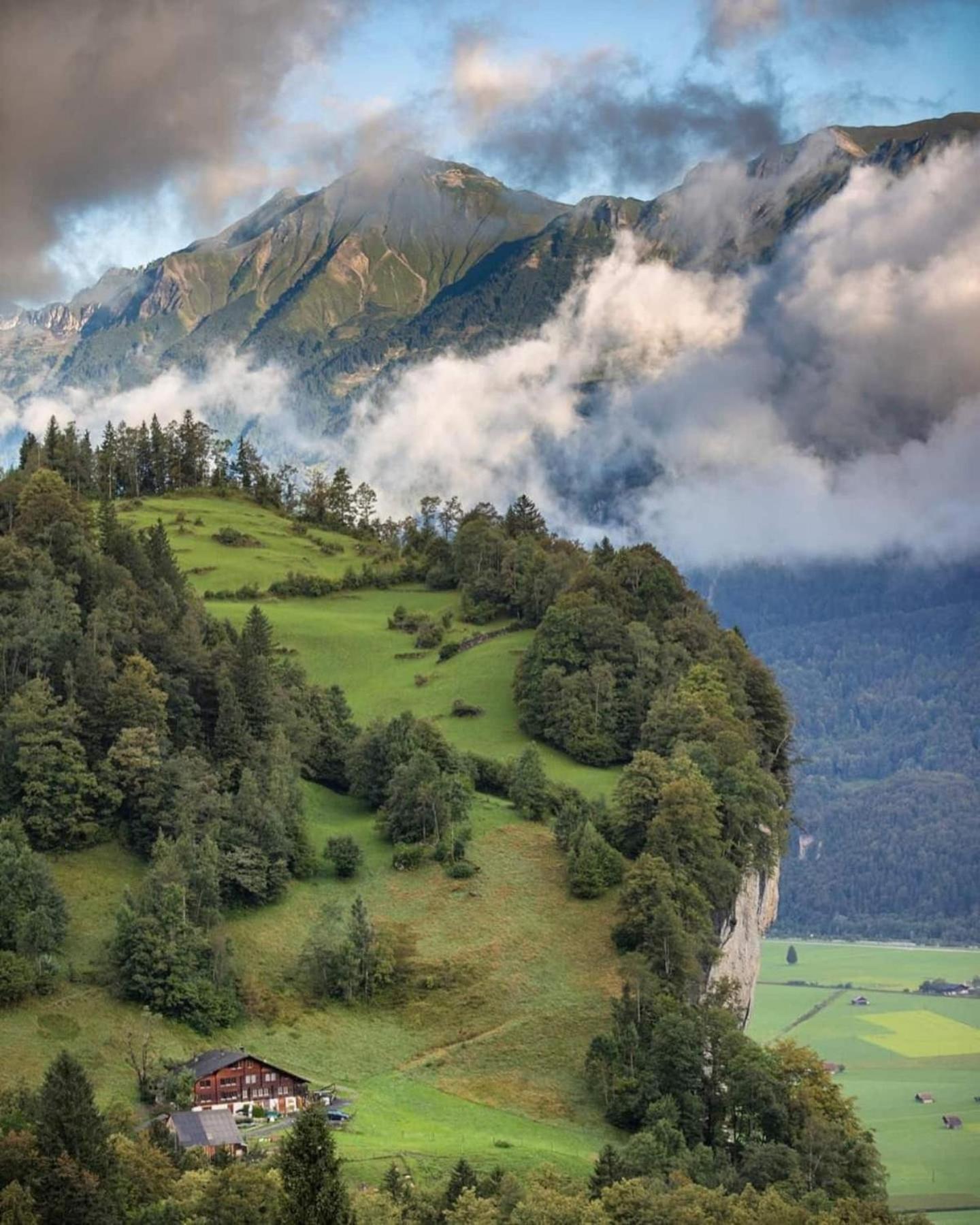 Cozy Studio With Terrace Bbq Mountain View