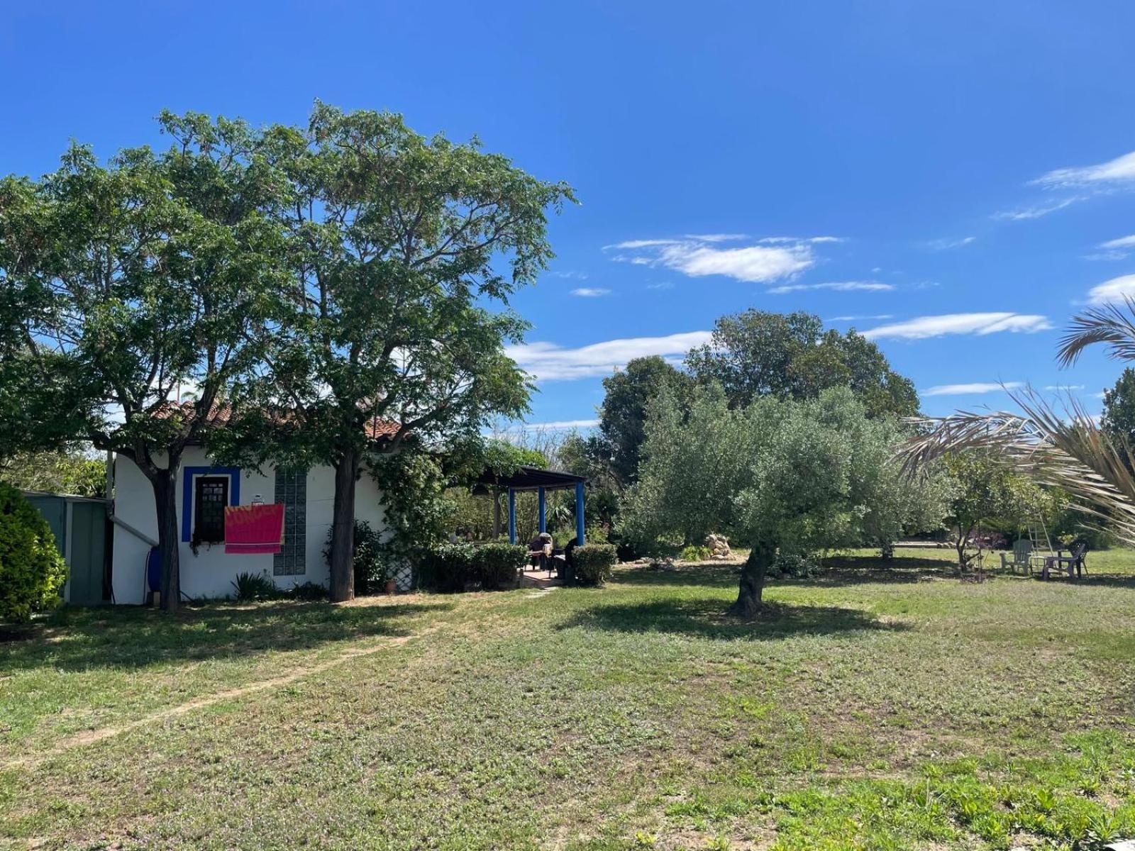 Masia 'Oasi Vallmoll' view 2