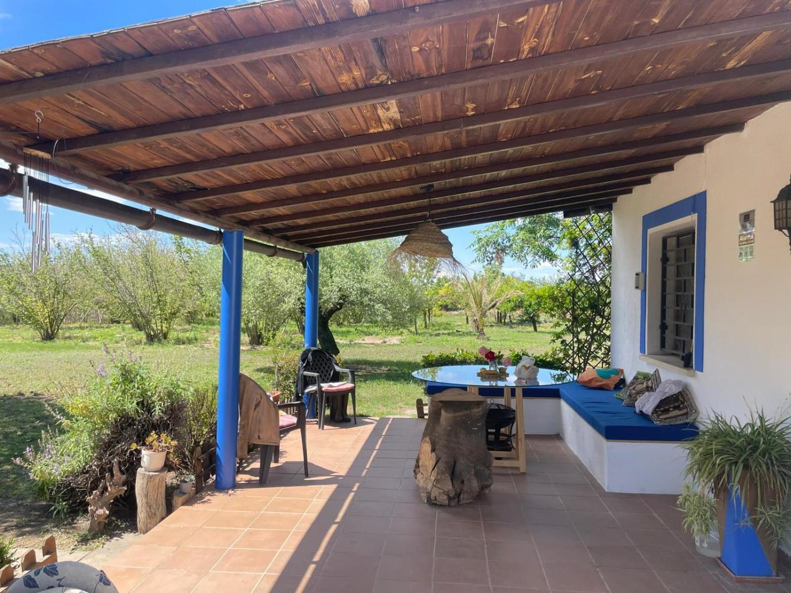 Masia 'Oasi Vallmoll' view 5