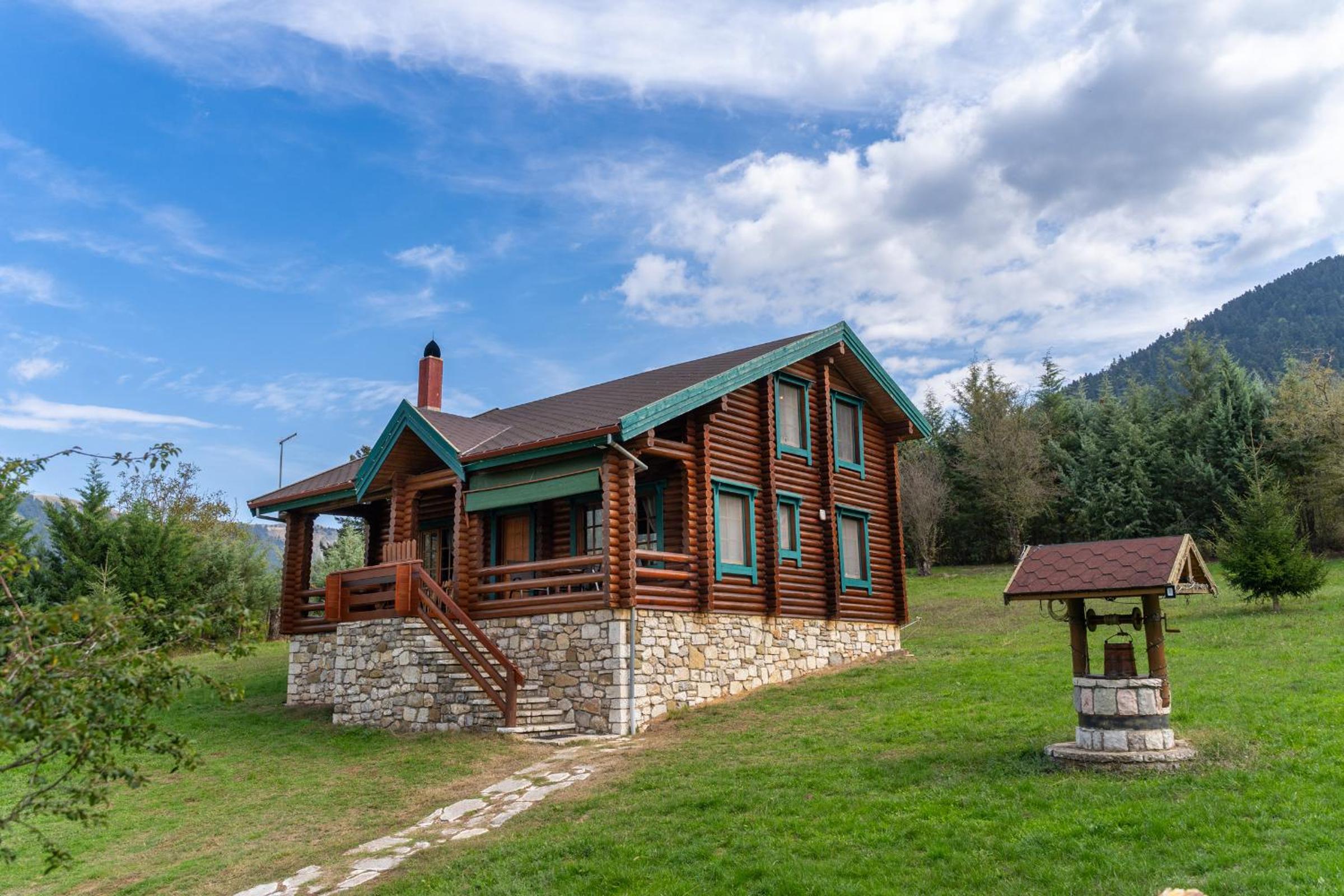 Mountain Escape Chalet view 4