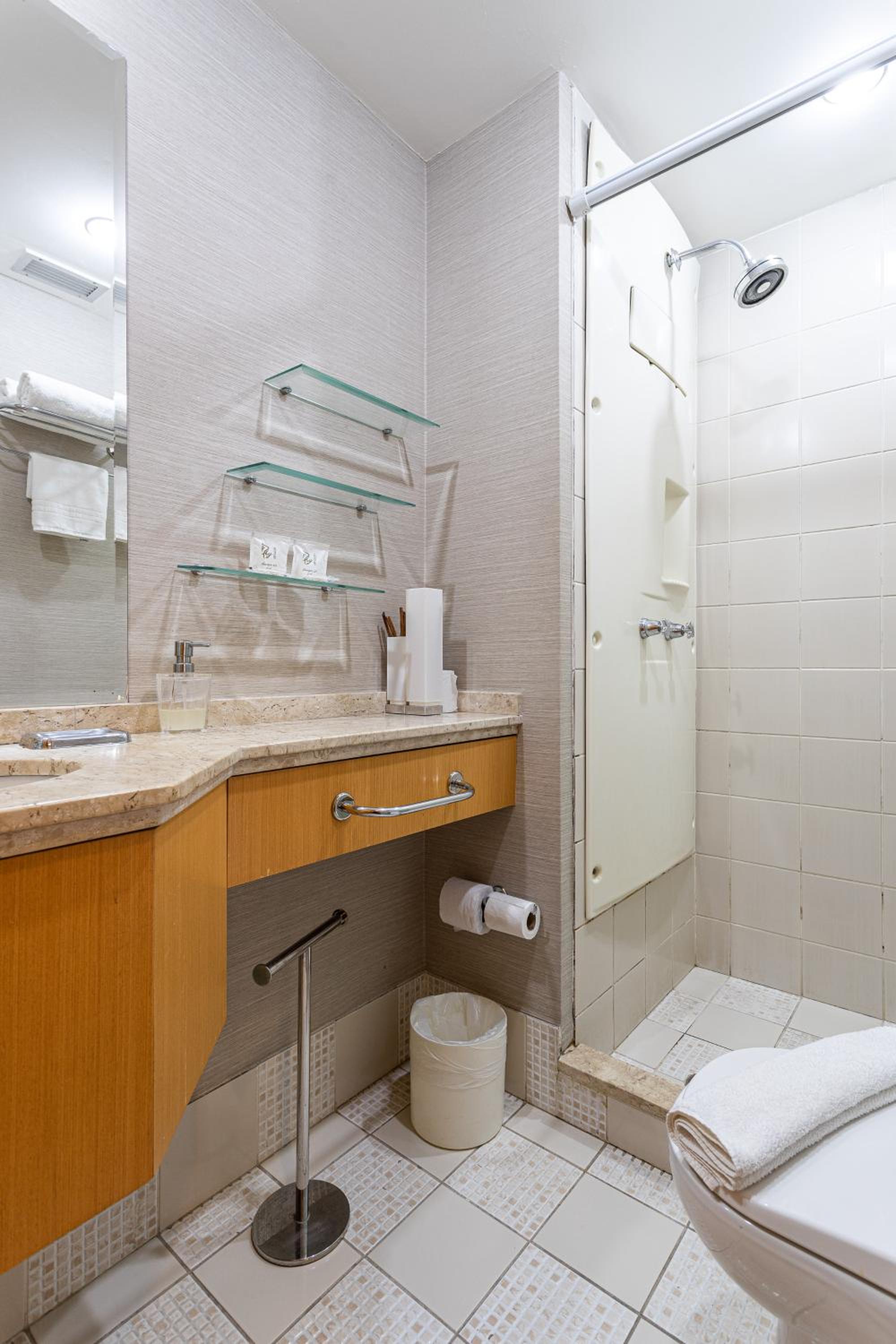 Executive Hotel Jardins - Al Lorena 473
