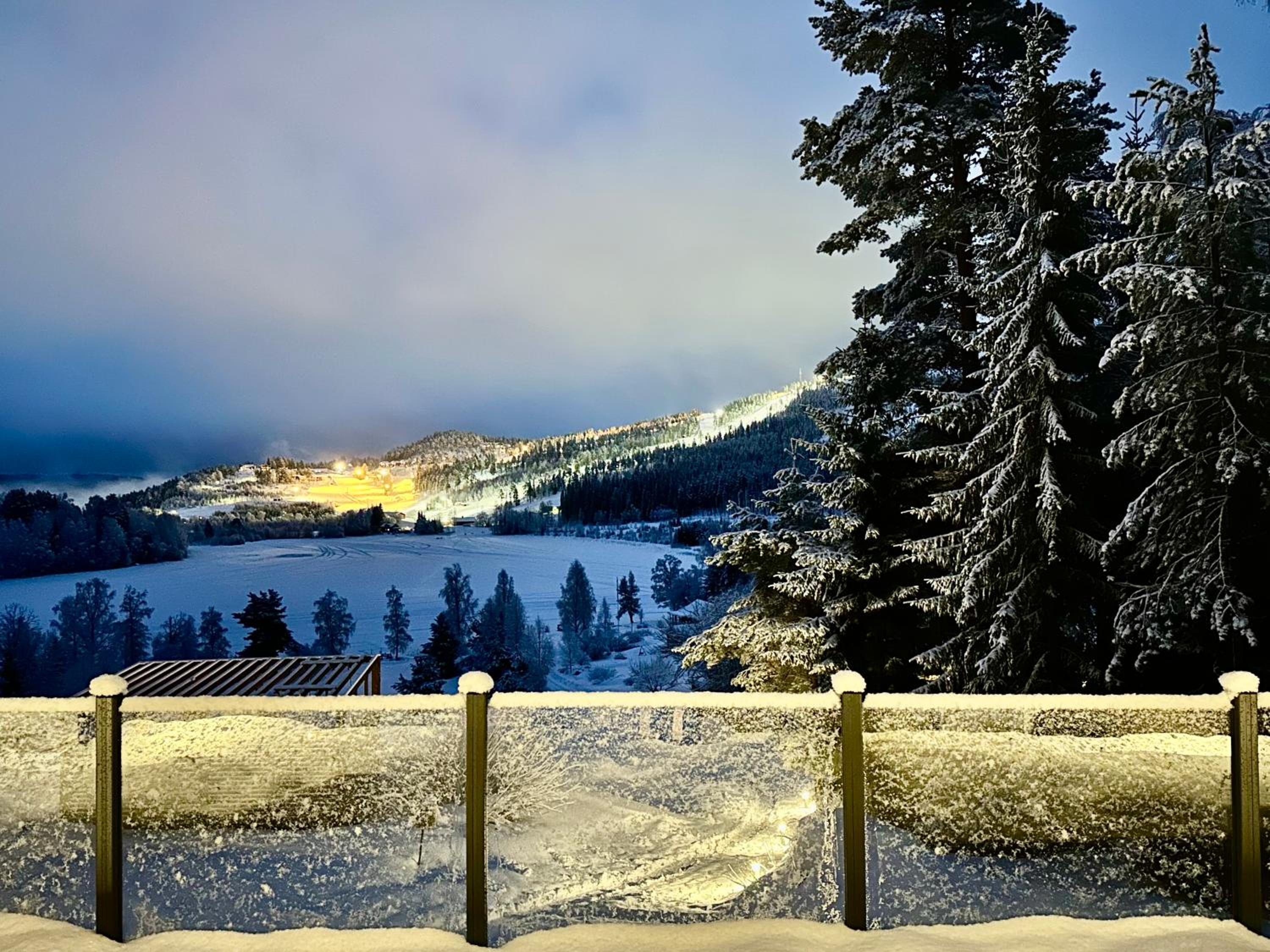 Newly built cabin with sauna, fireplace and amazing view view 5