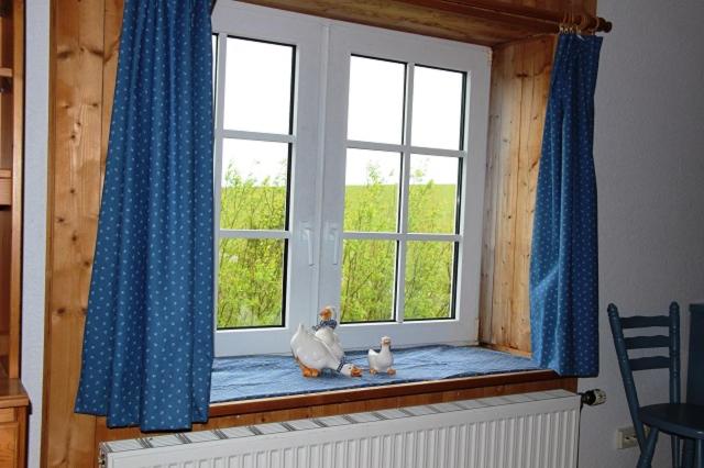 Ferienwohnung Deichblick