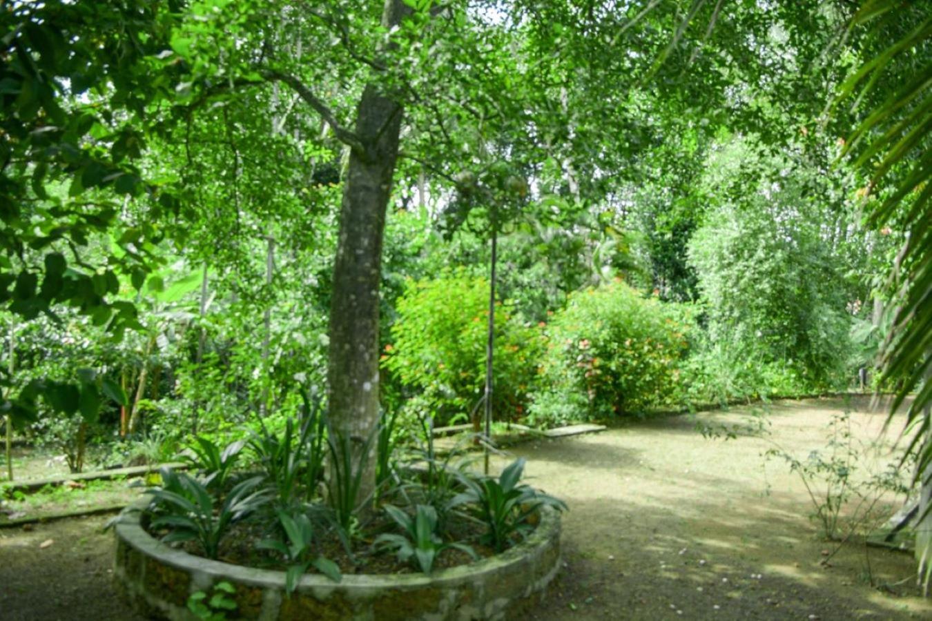 Photo 28