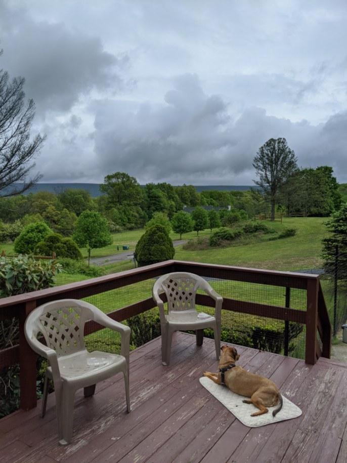Fenced Yard Chalets from Good Dog Vacations at Big Valley Resort