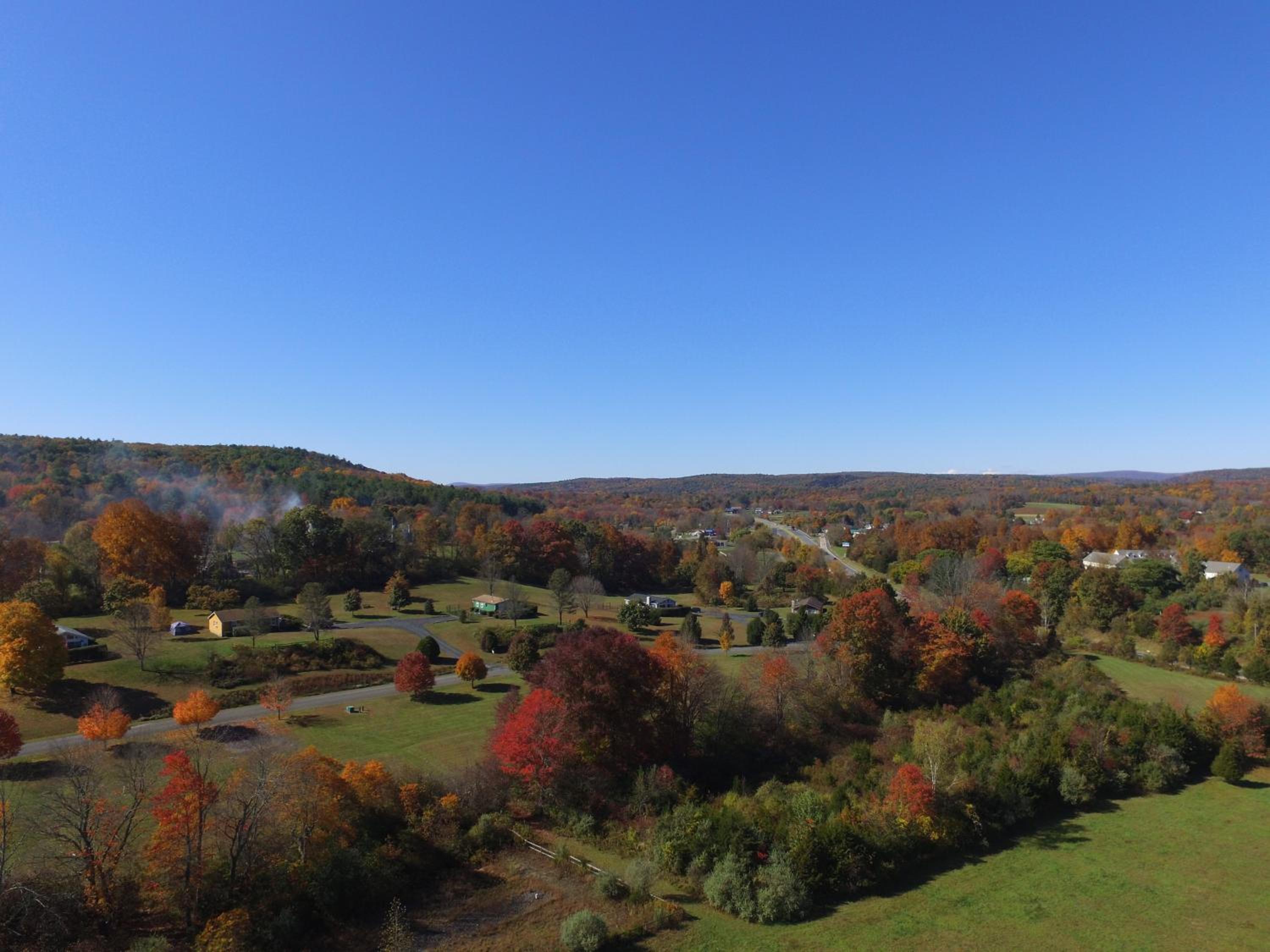 Fenced Yard Chalets from Good Dog Vacations at Big Valley Resort