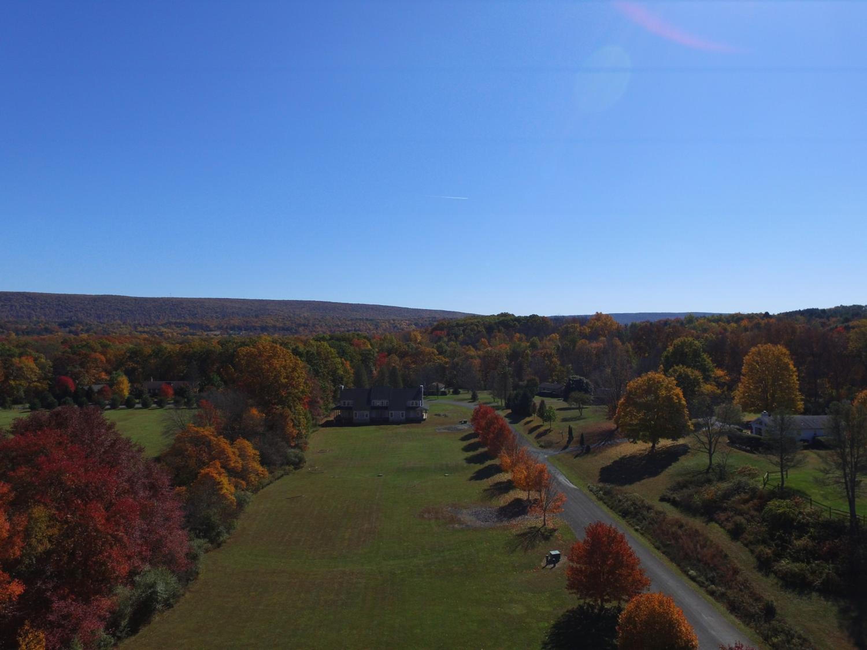 Fenced Yard Chalets from Good Dog Vacations at Big Valley Resort
