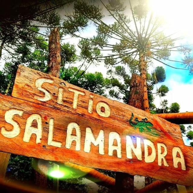 Casa das Araucárias - Sítio Salamandra, Vale do Matutu