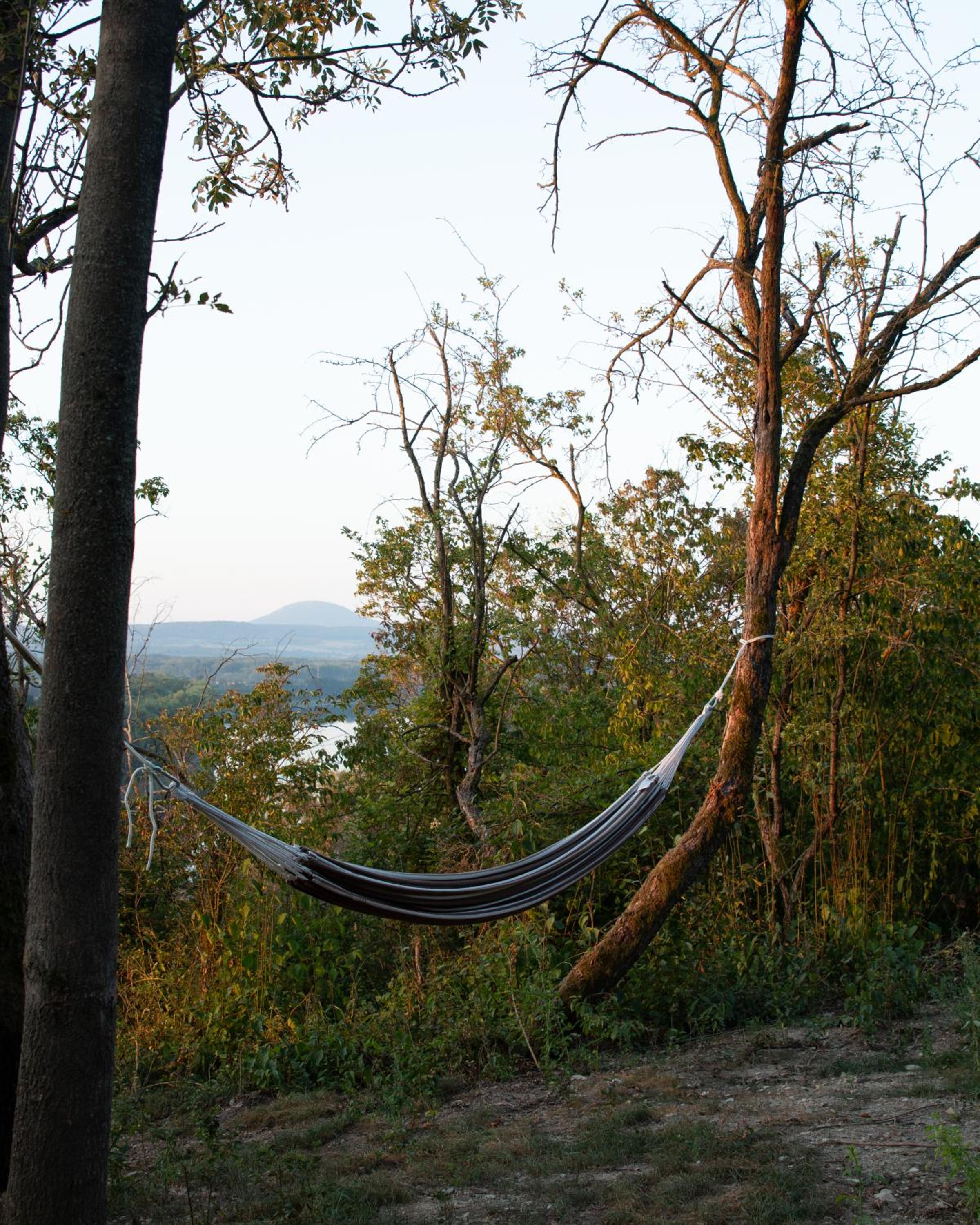 Veritas Beyond Glamping
