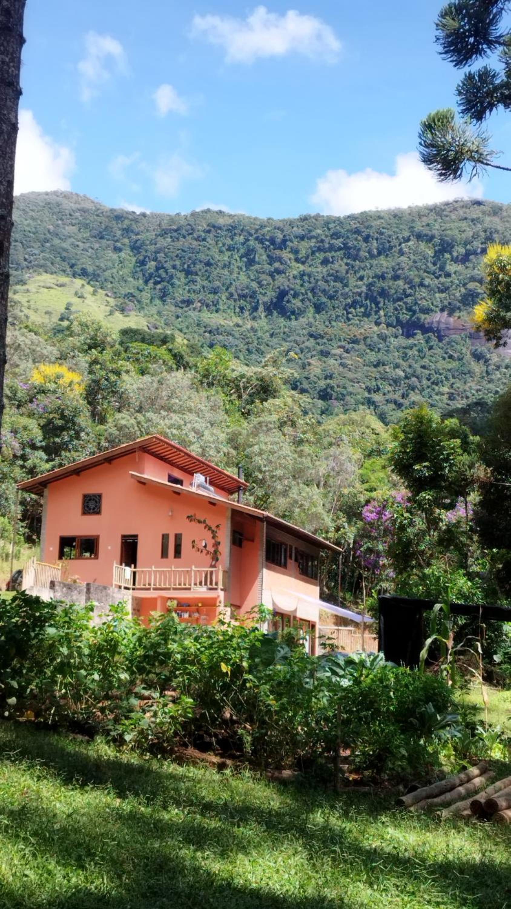 Casa das Araucárias - Sítio Salamandra, Vale do Matutu
