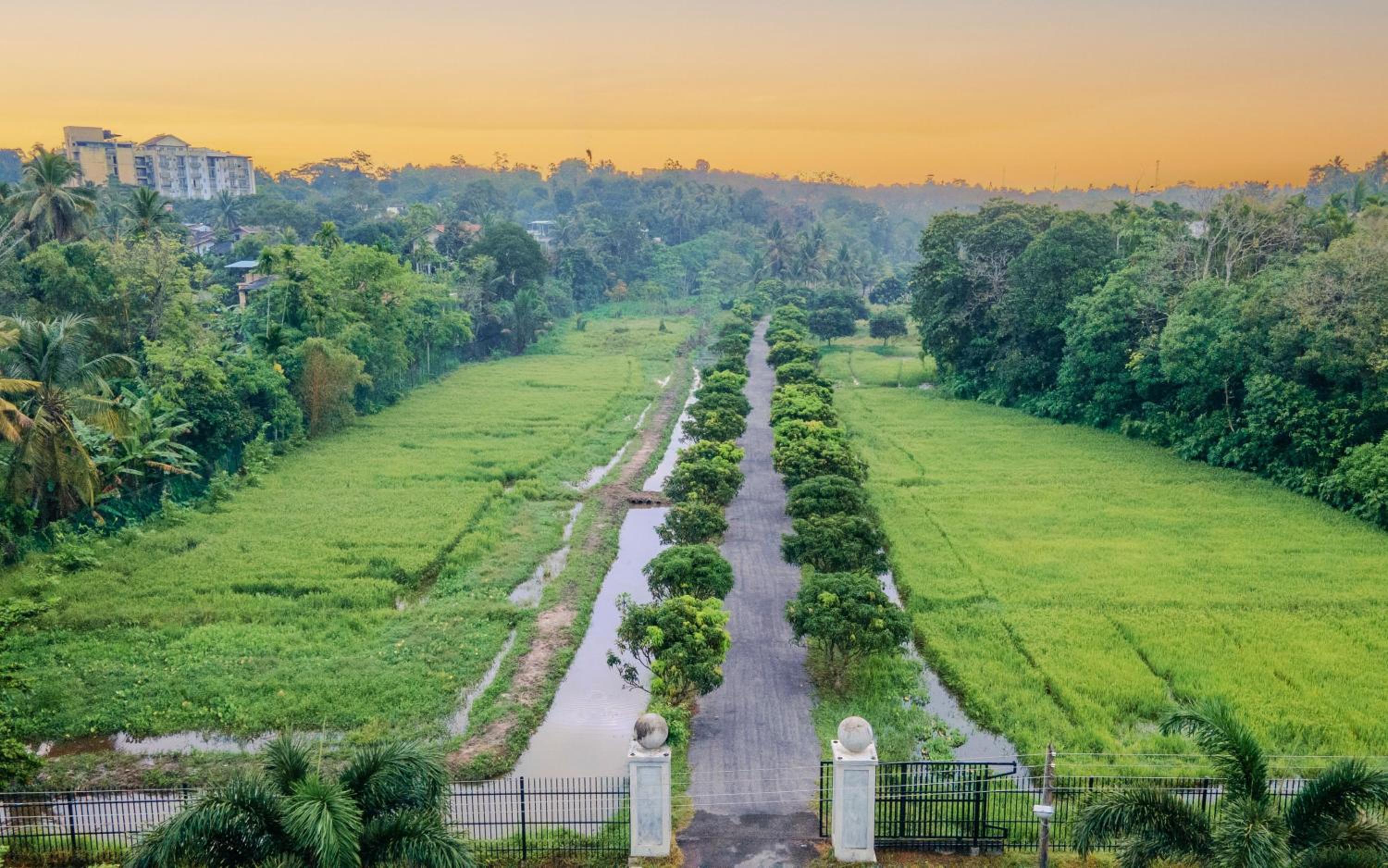 Lotus Estate Colombo
