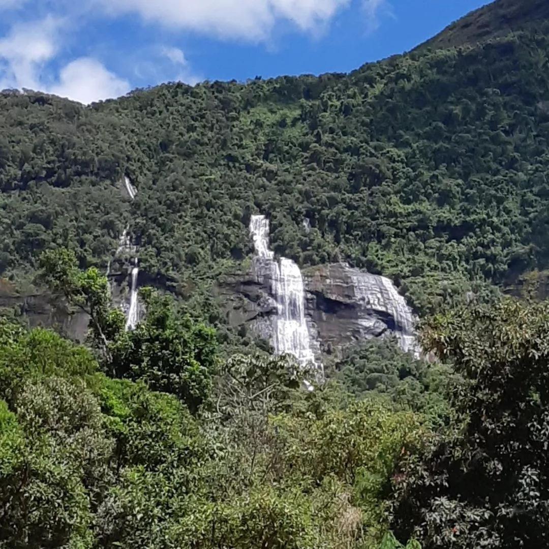 Casa das Araucárias - Sítio Salamandra, Vale do Matutu