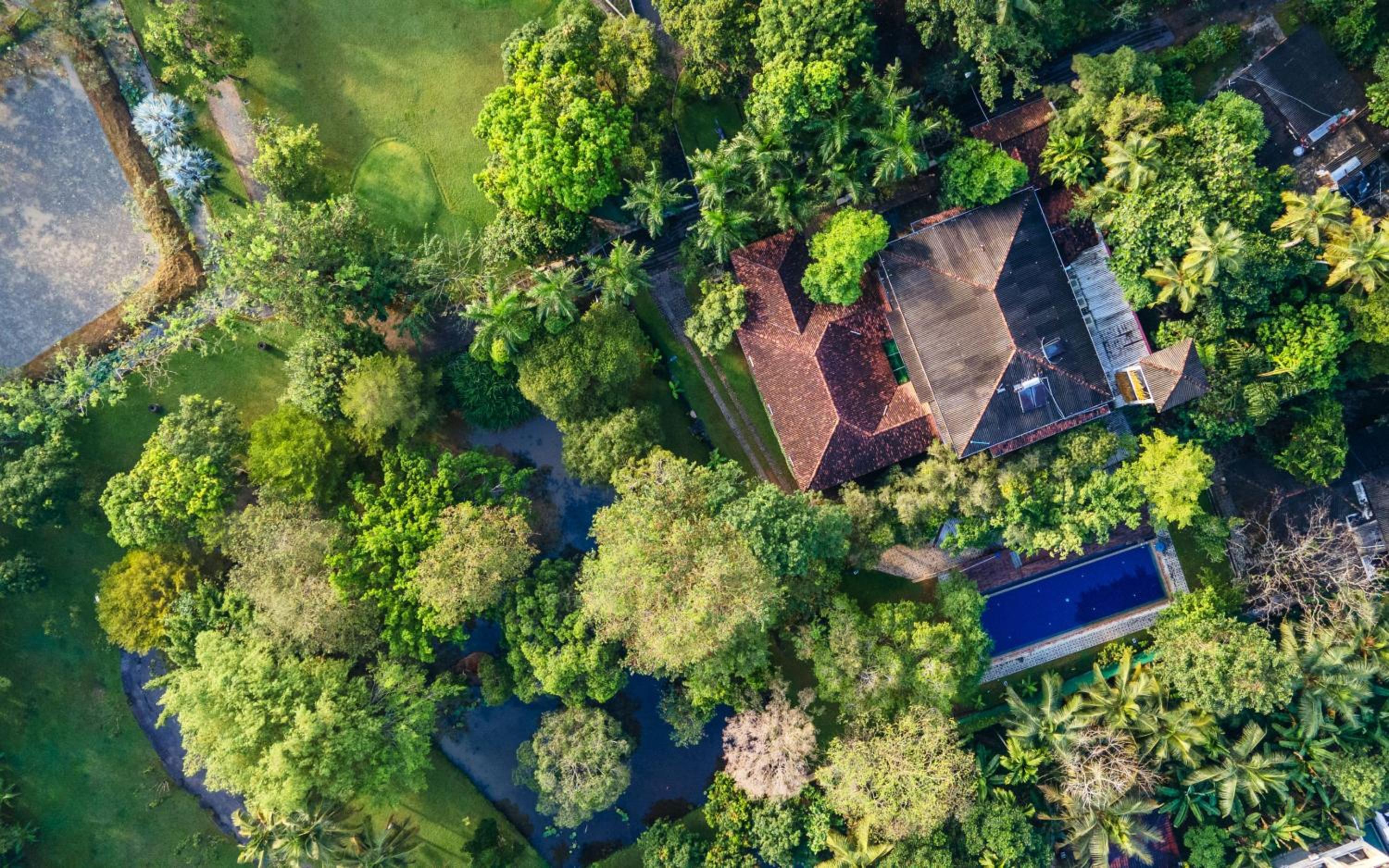 Lotus Estate Colombo