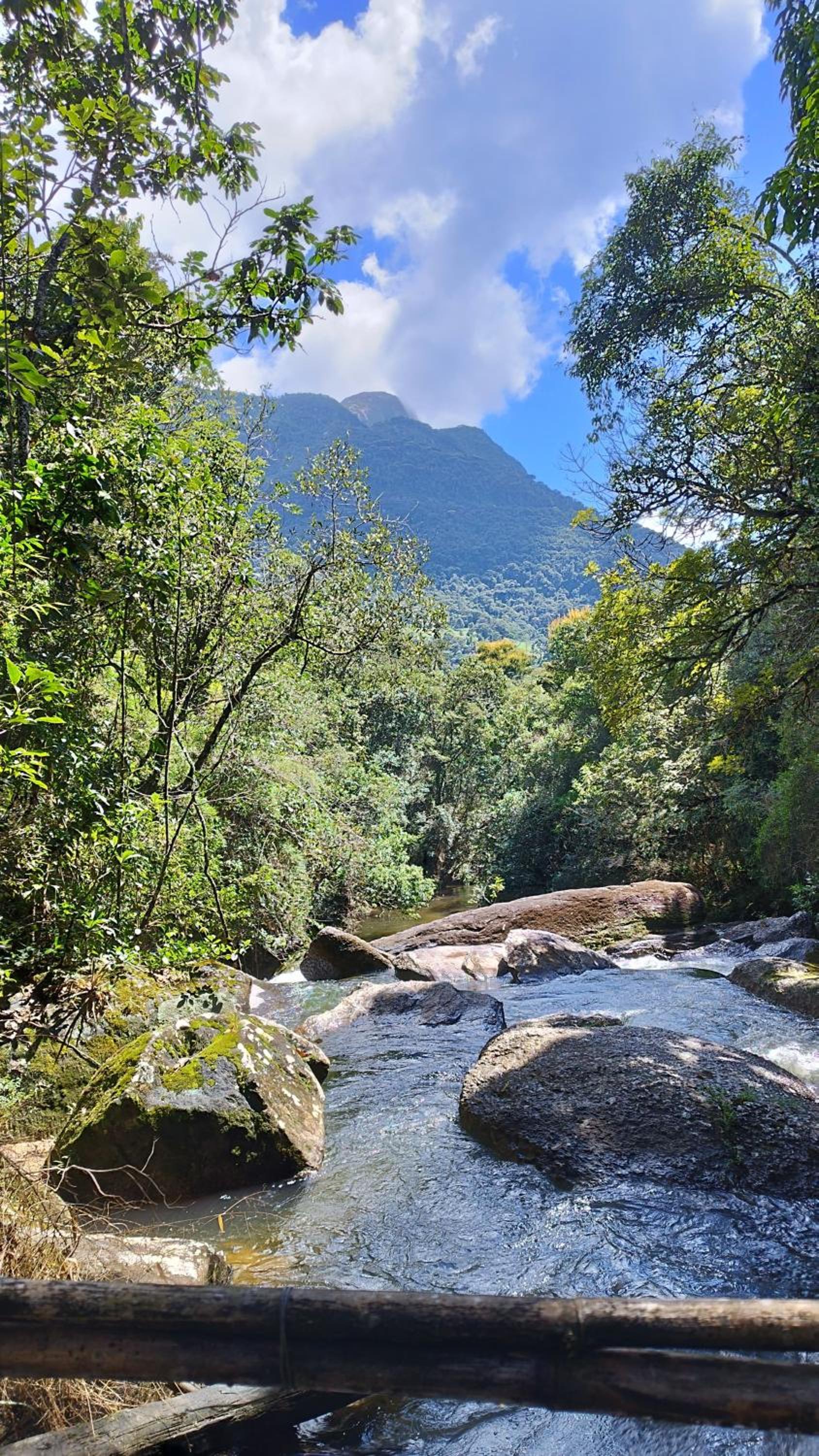 Casa das Araucárias - Sítio Salamandra, Vale do Matutu