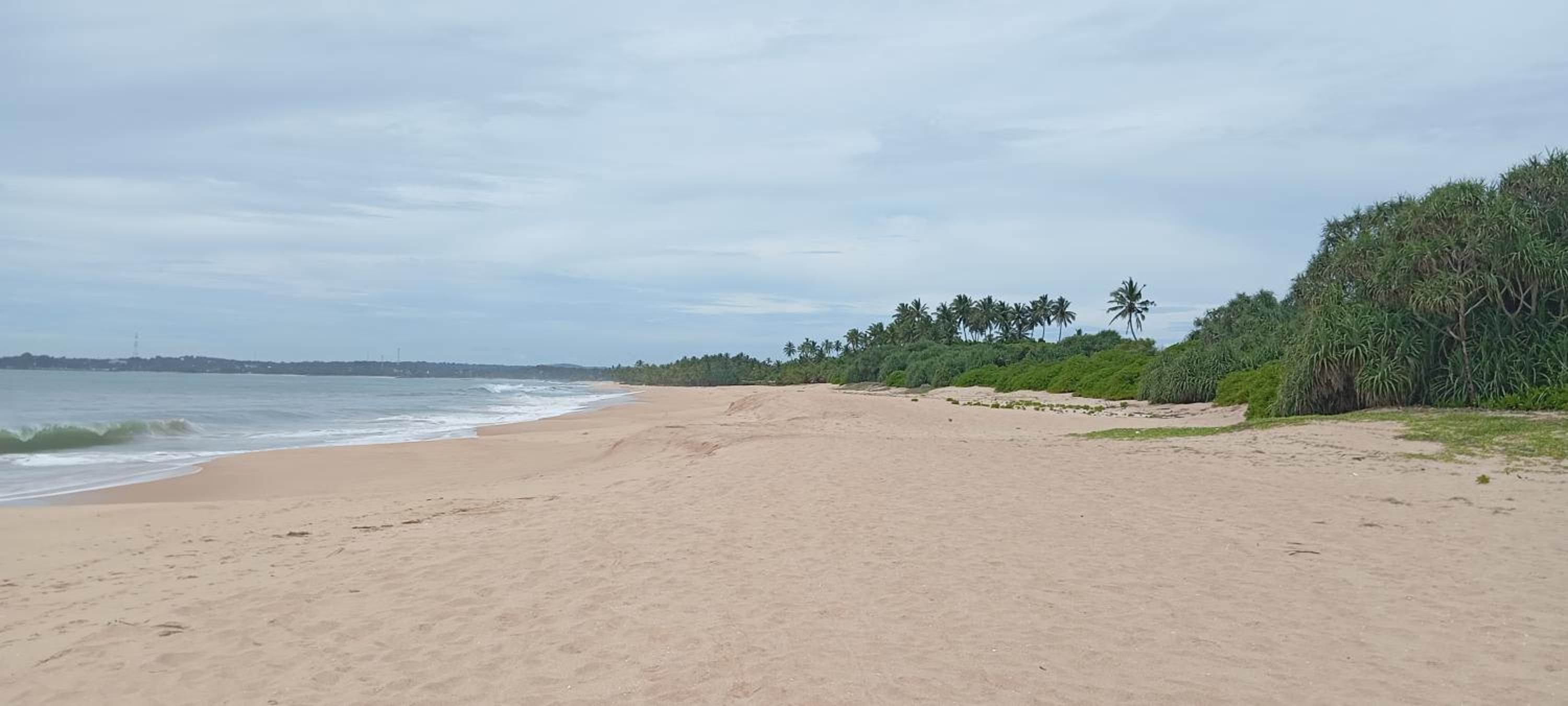 Photo 30