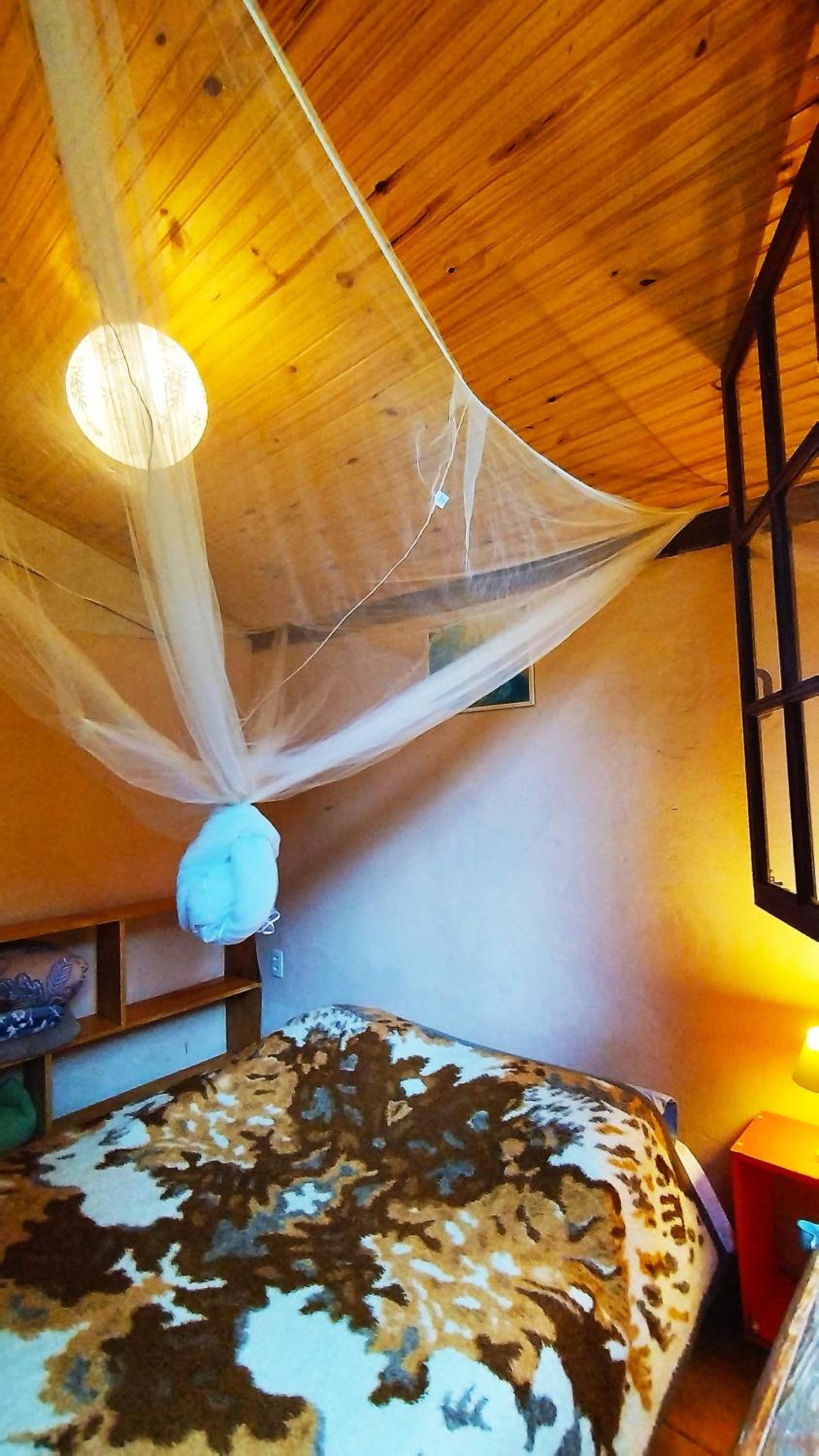 Casa das Araucárias - Sítio Salamandra, Vale do Matutu