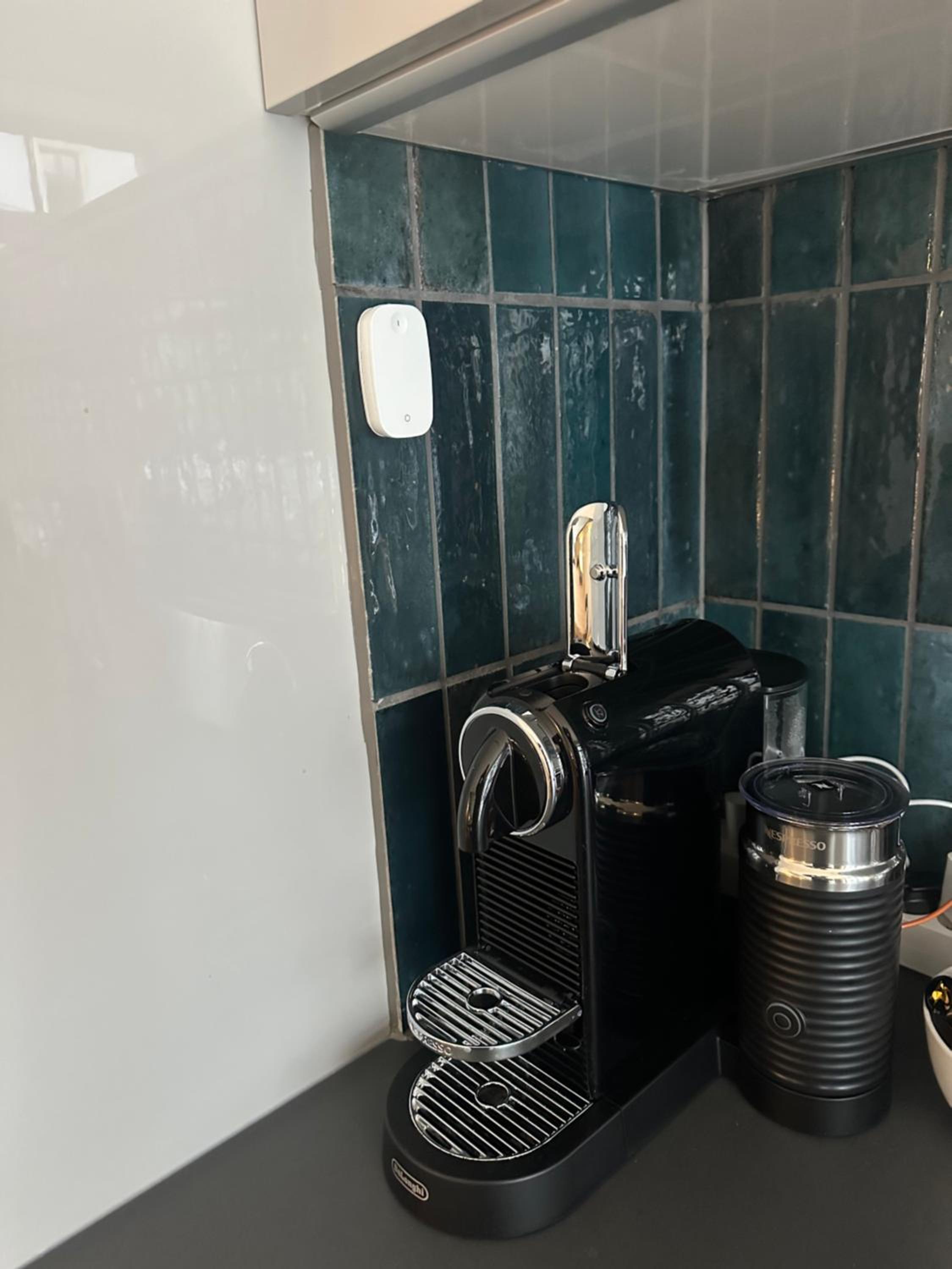 Large, comfortable and luxurious flat in Berlin Center, Prenzlauer Berg