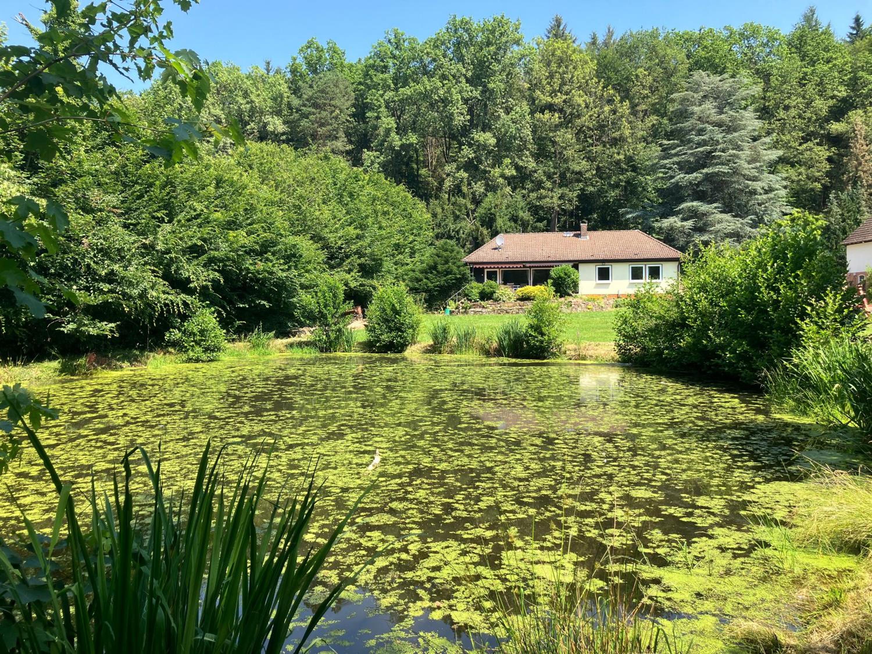 Ferienhaus Drei Mühlen