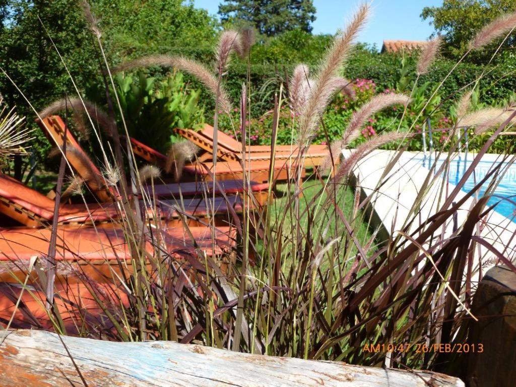 cabañas, jacuzzi, naturaleza y mas