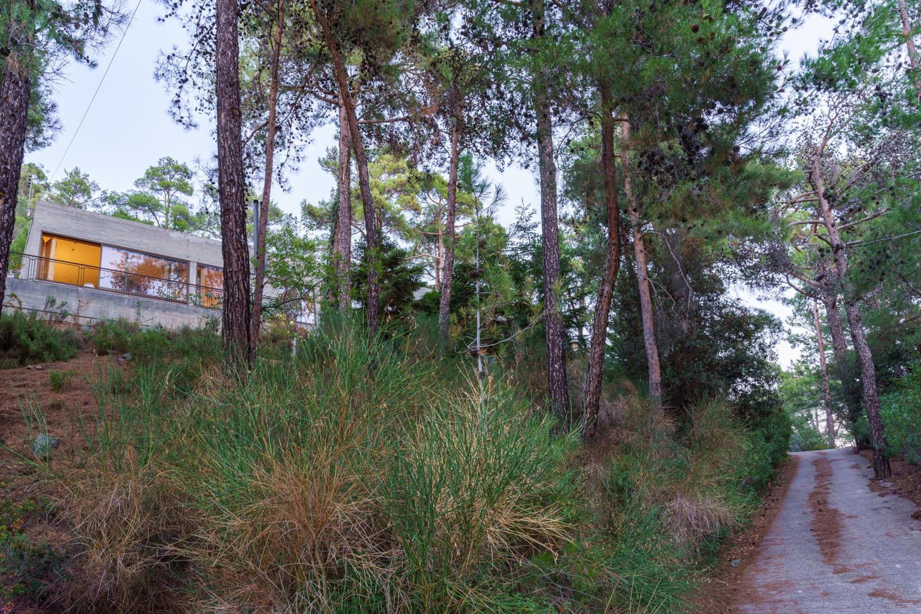 Paradise Peek, Platres