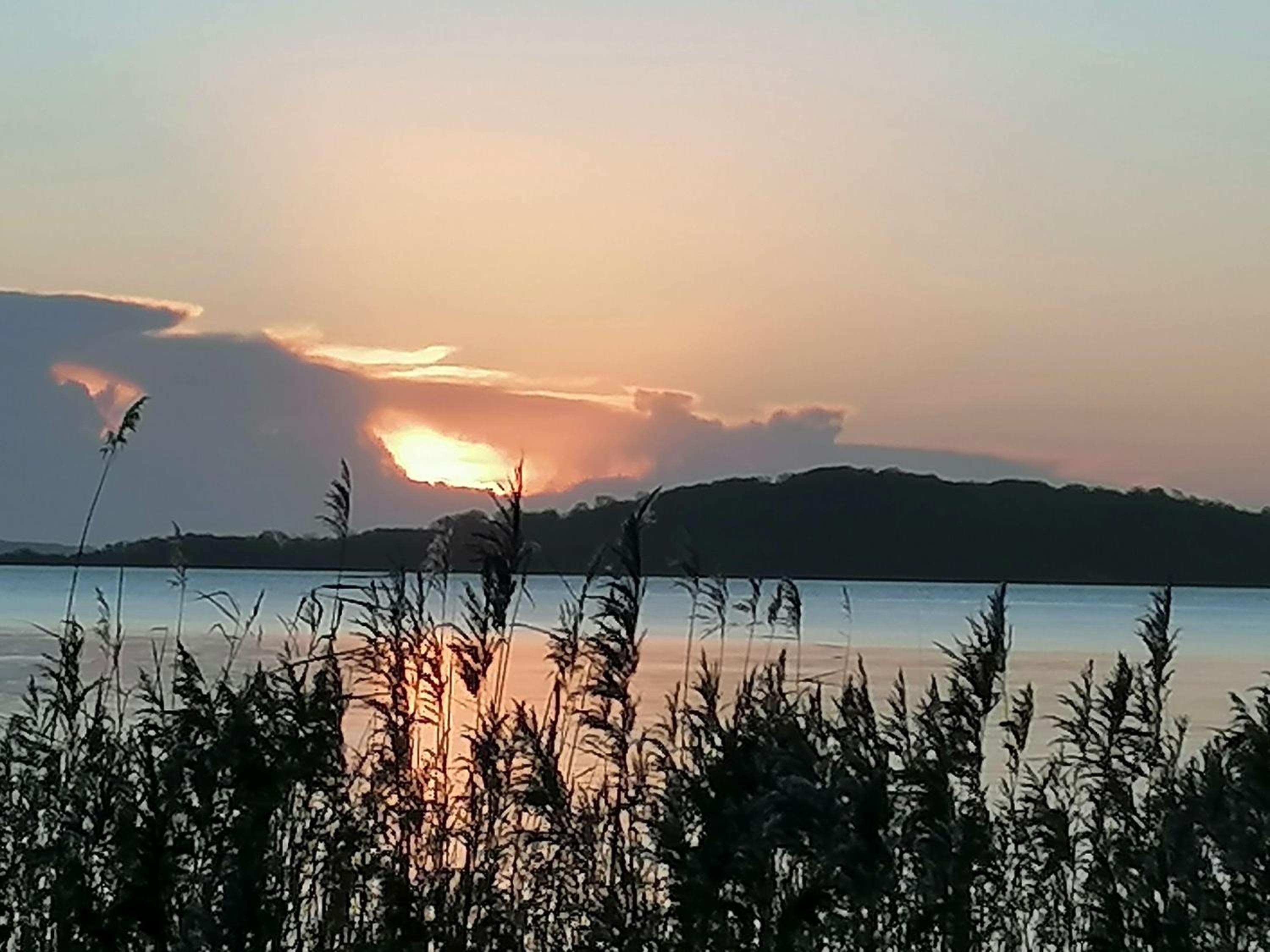 FEWO-Boddenblick-Vilm view 4