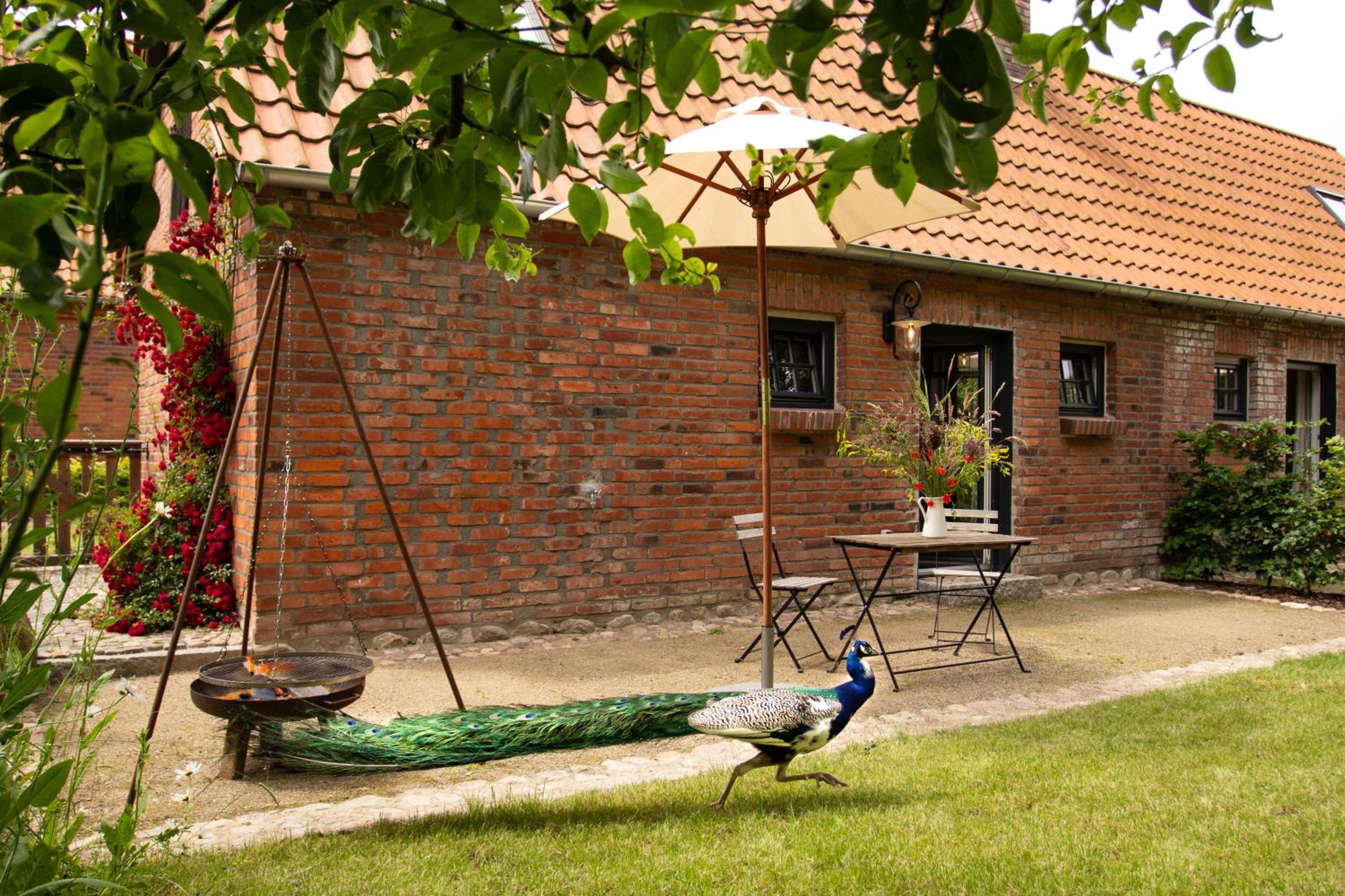 Idyllisches Landhaus, Garten & Kamin, für Paare