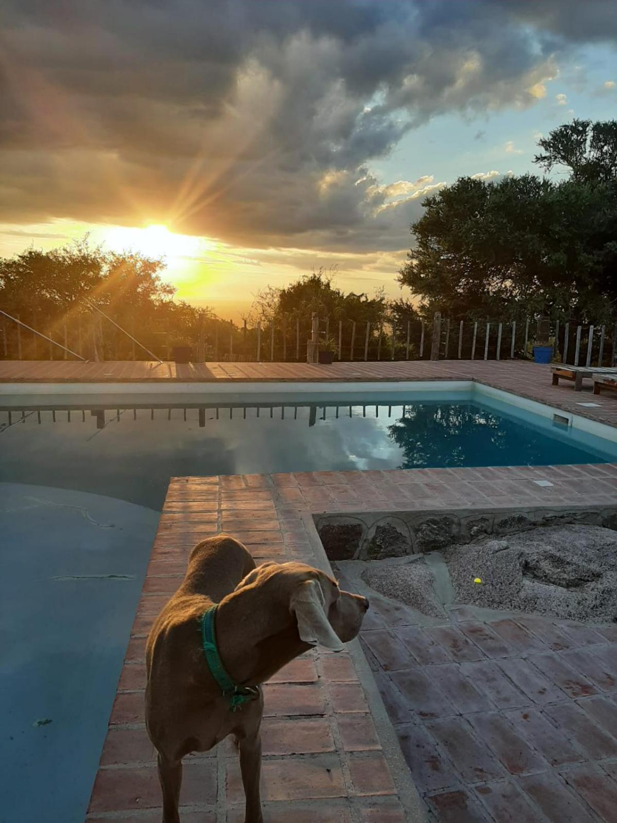 VILLA ESPINA CHALET DE MONTAÑA a 8 km de San Javier
