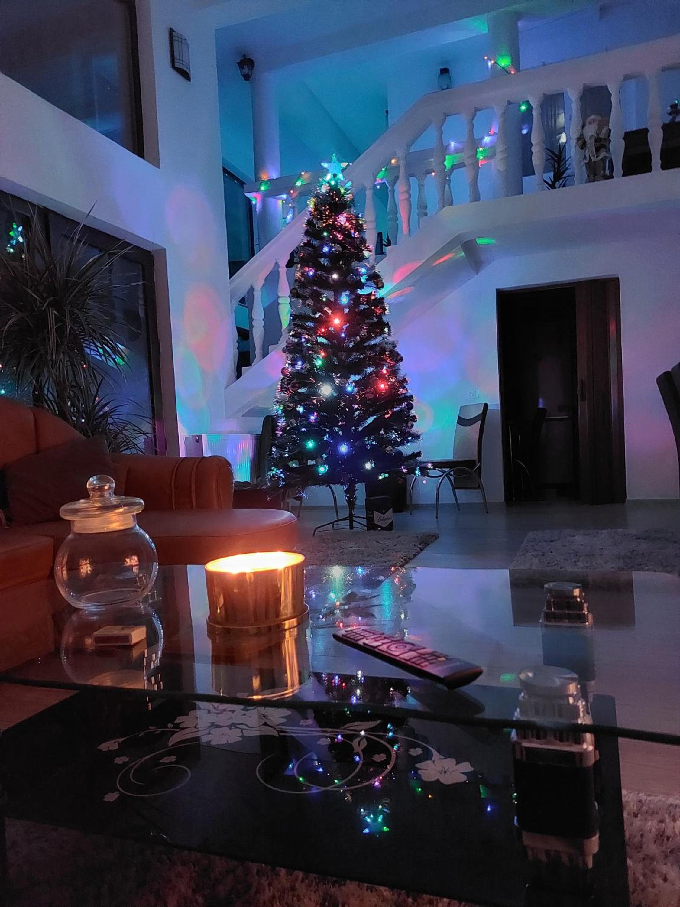 Casa Elvis