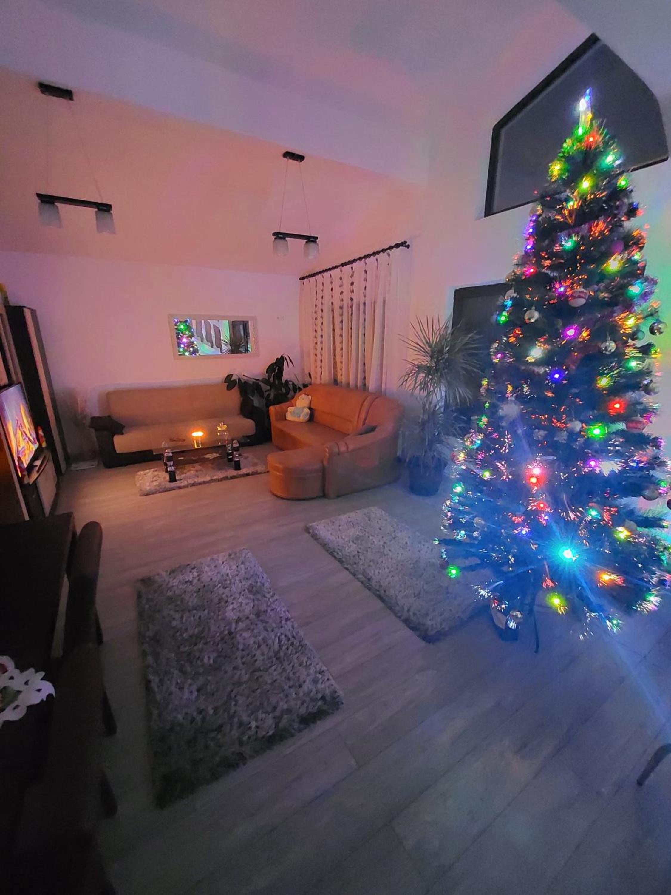 Casa Elvis
