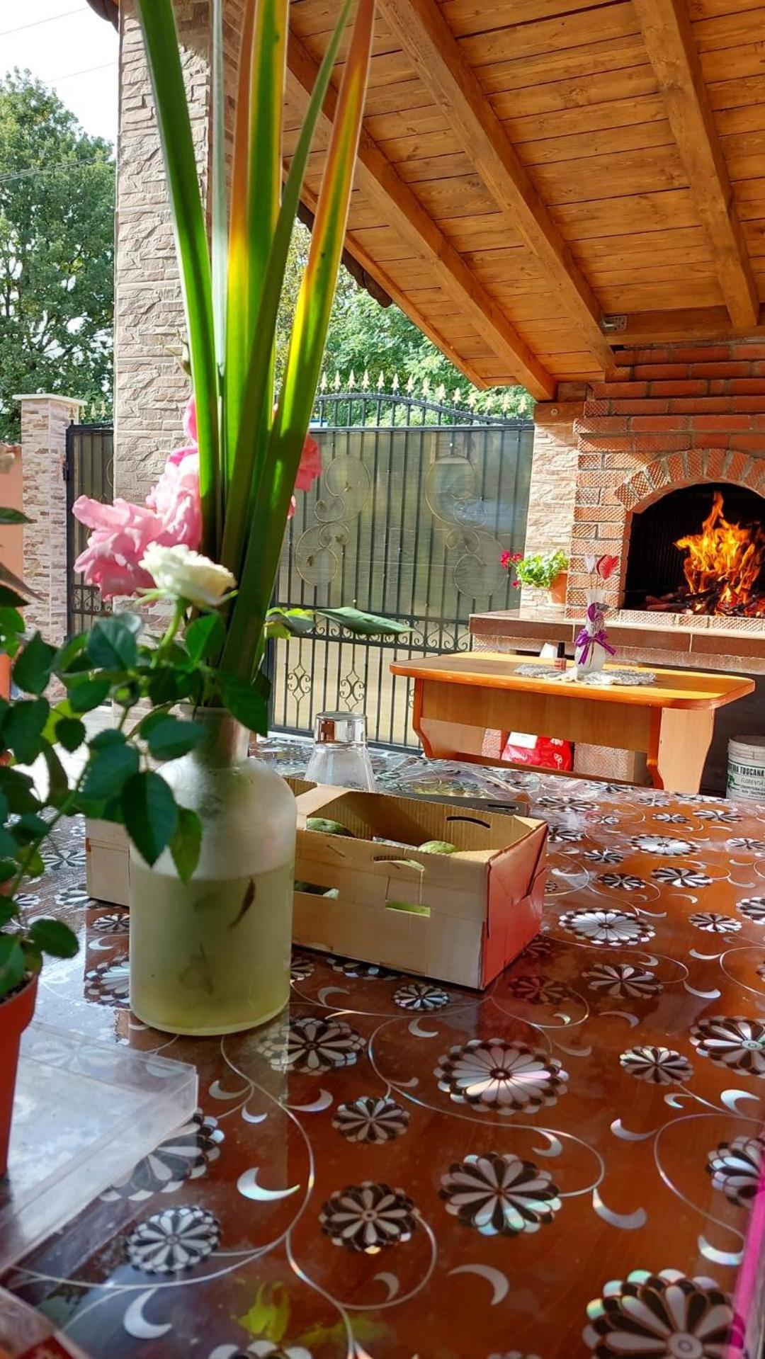 Casa Elvis