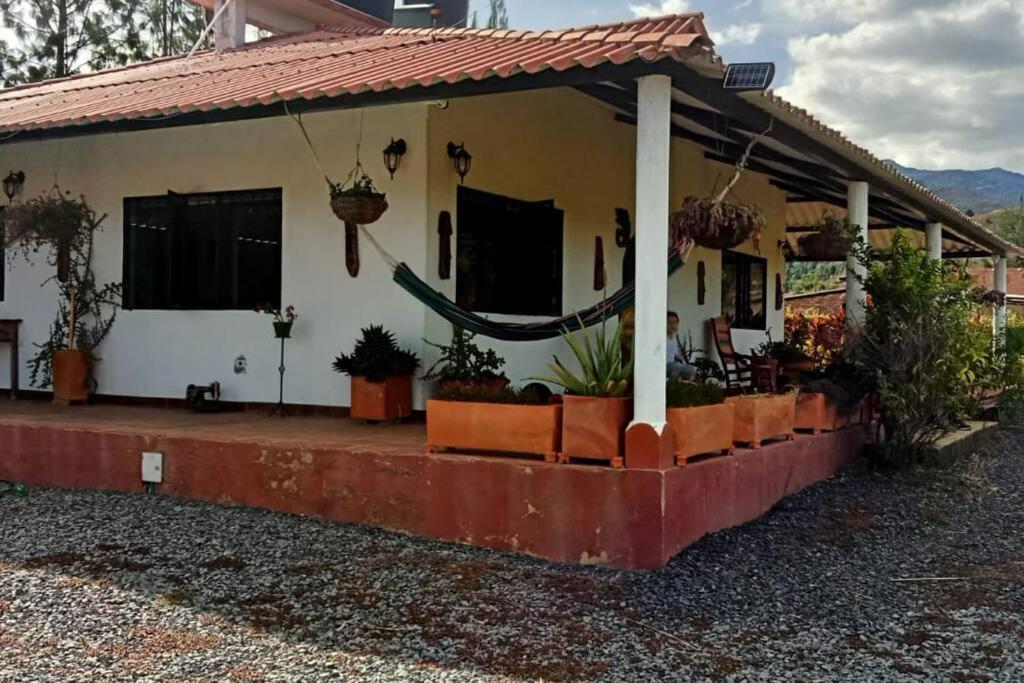 Cabaña los pinos