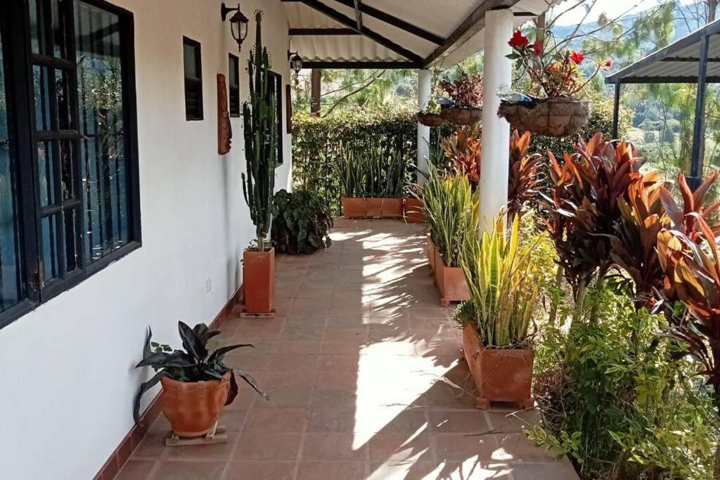 Cabaña los pinos
