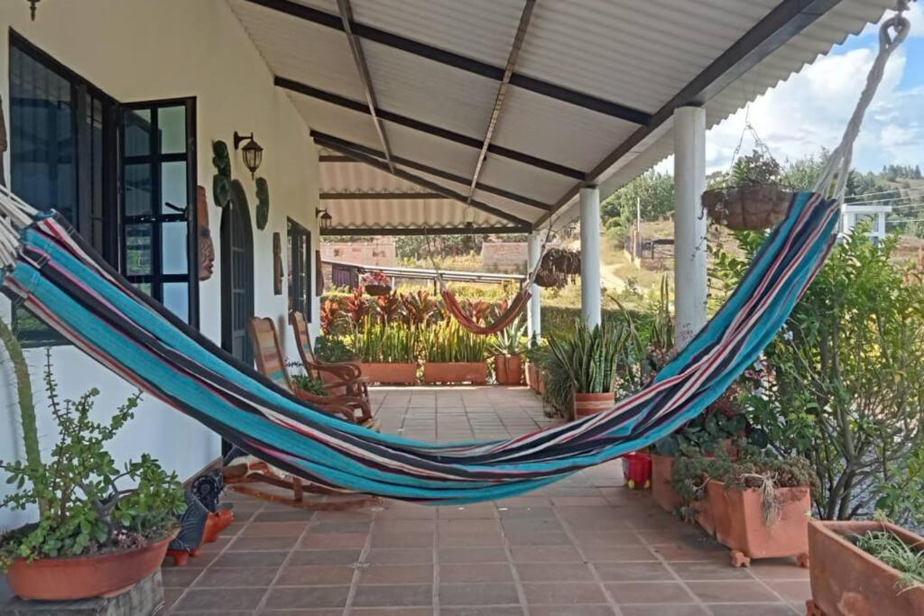 Cabaña los pinos