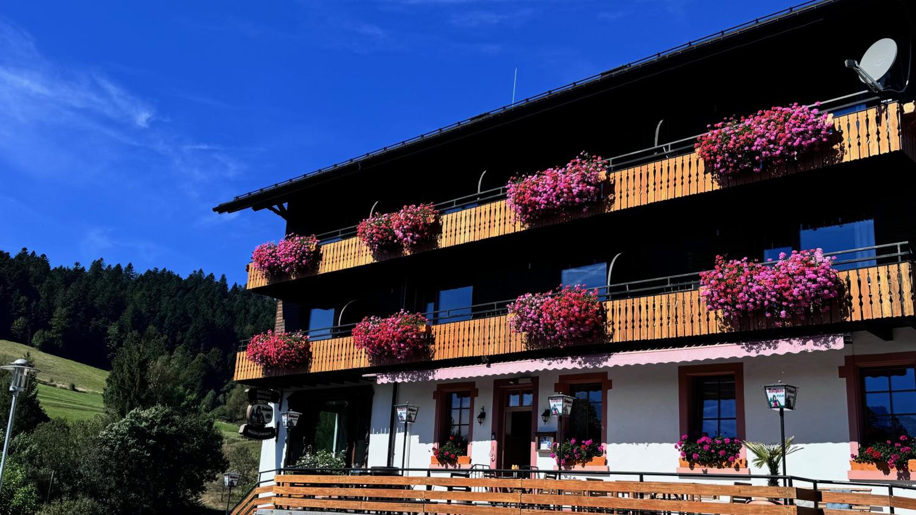 Hotel Boutique Hotel and Apartments Pension Sternen - Image 1