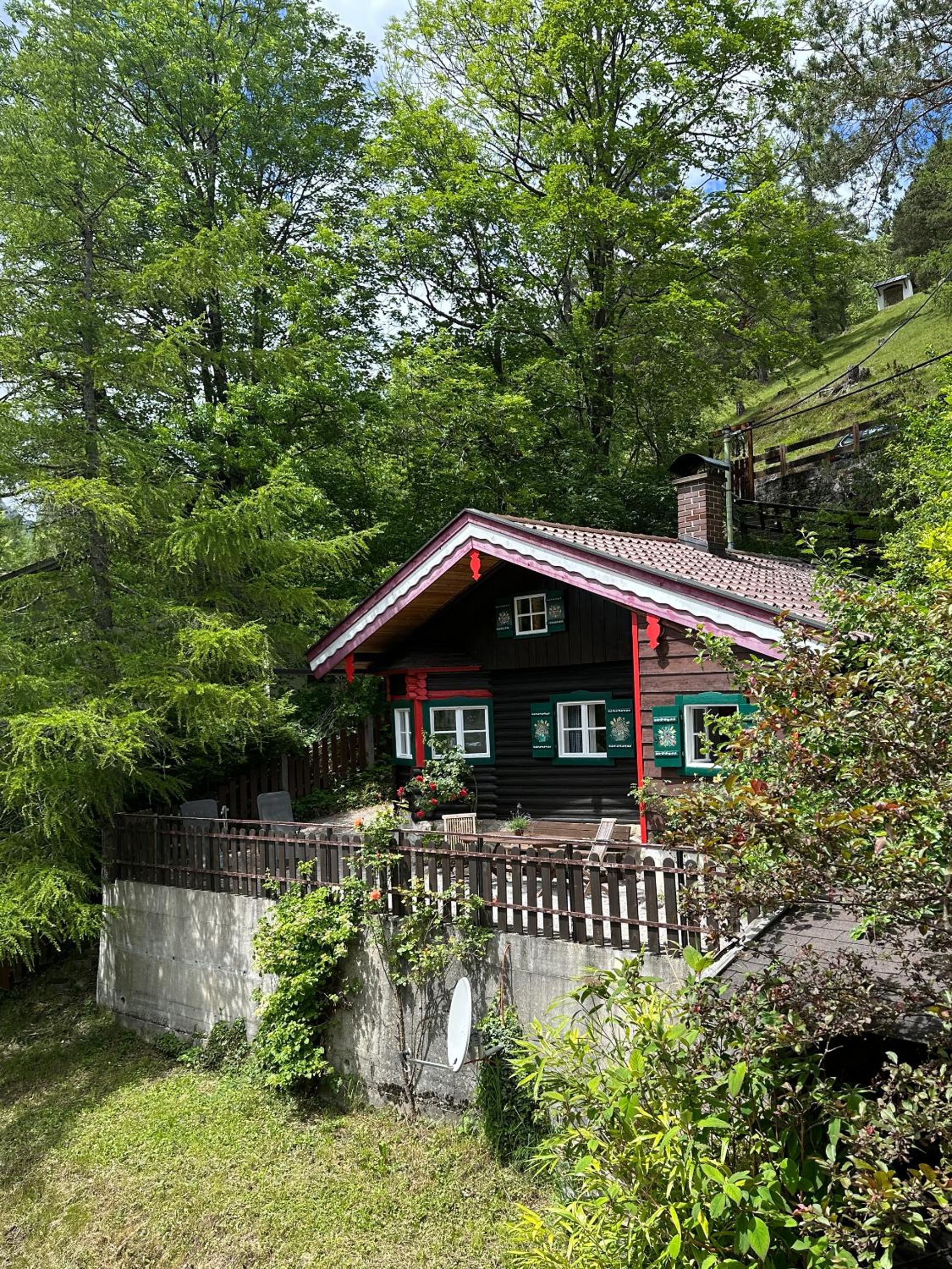 Ferienhaus Zaunkönig