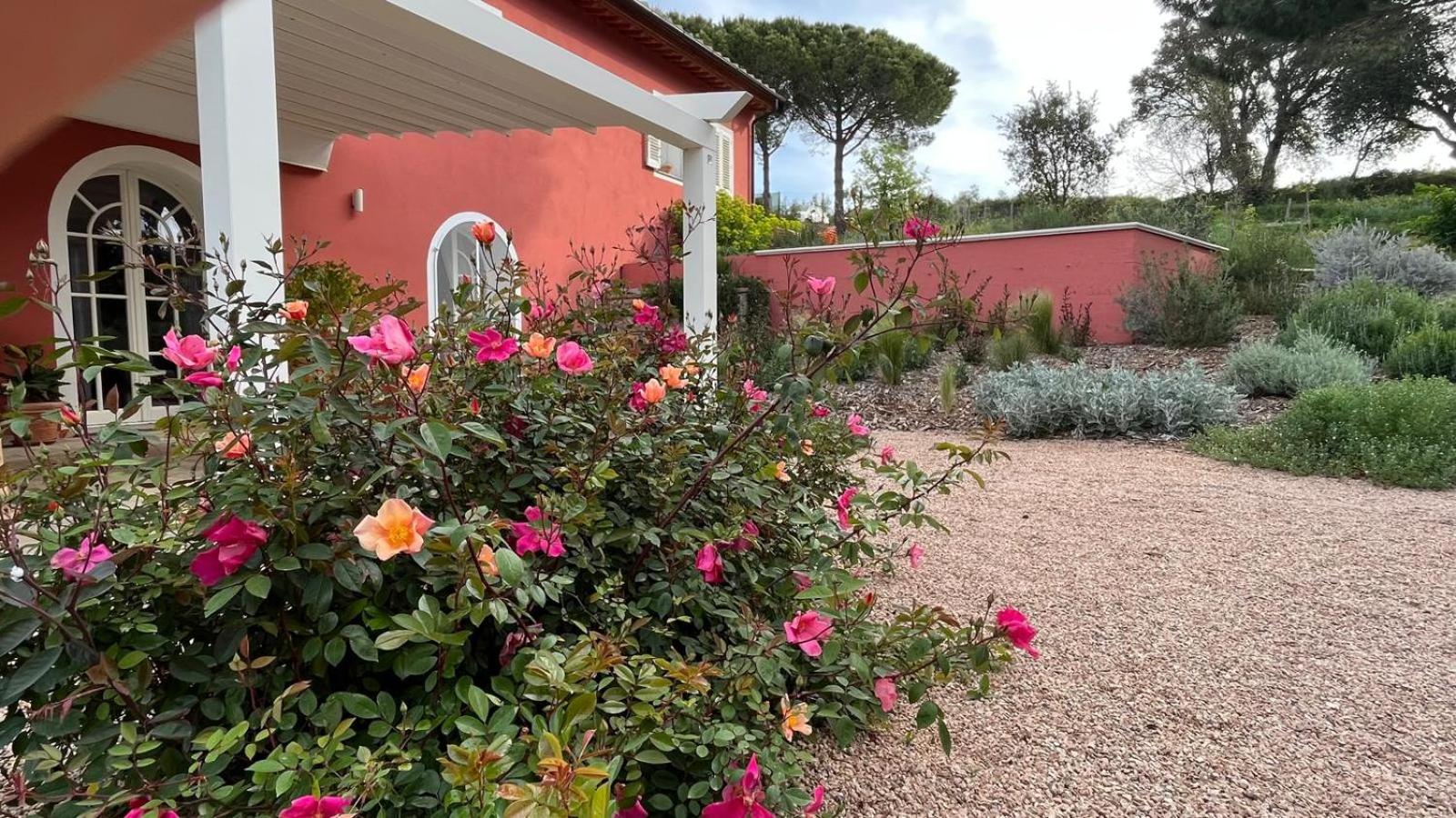 Podere Terraviva - apt Mimosa view 4