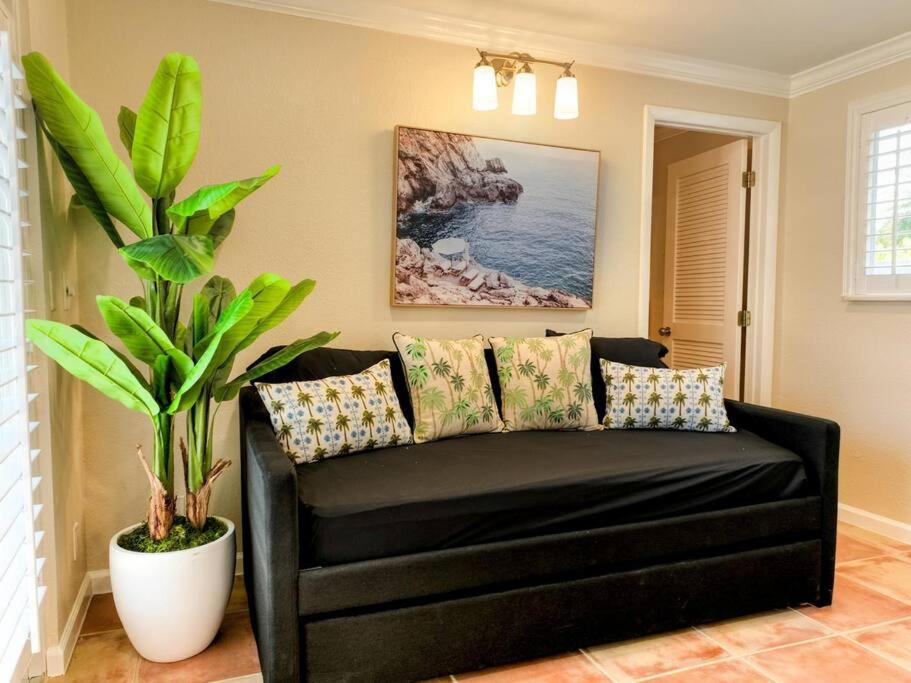 Flamingo Palms
