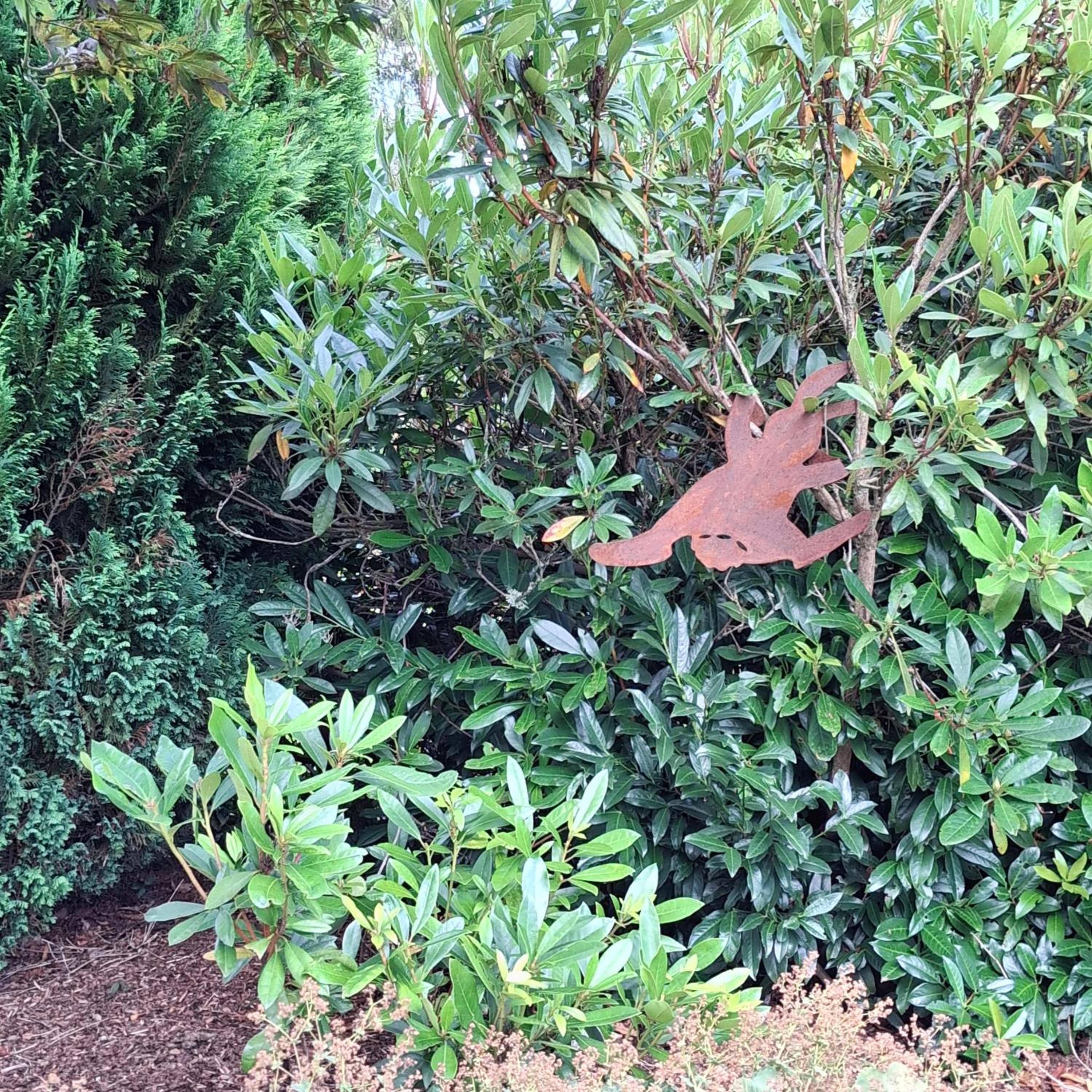 Le Renard'or