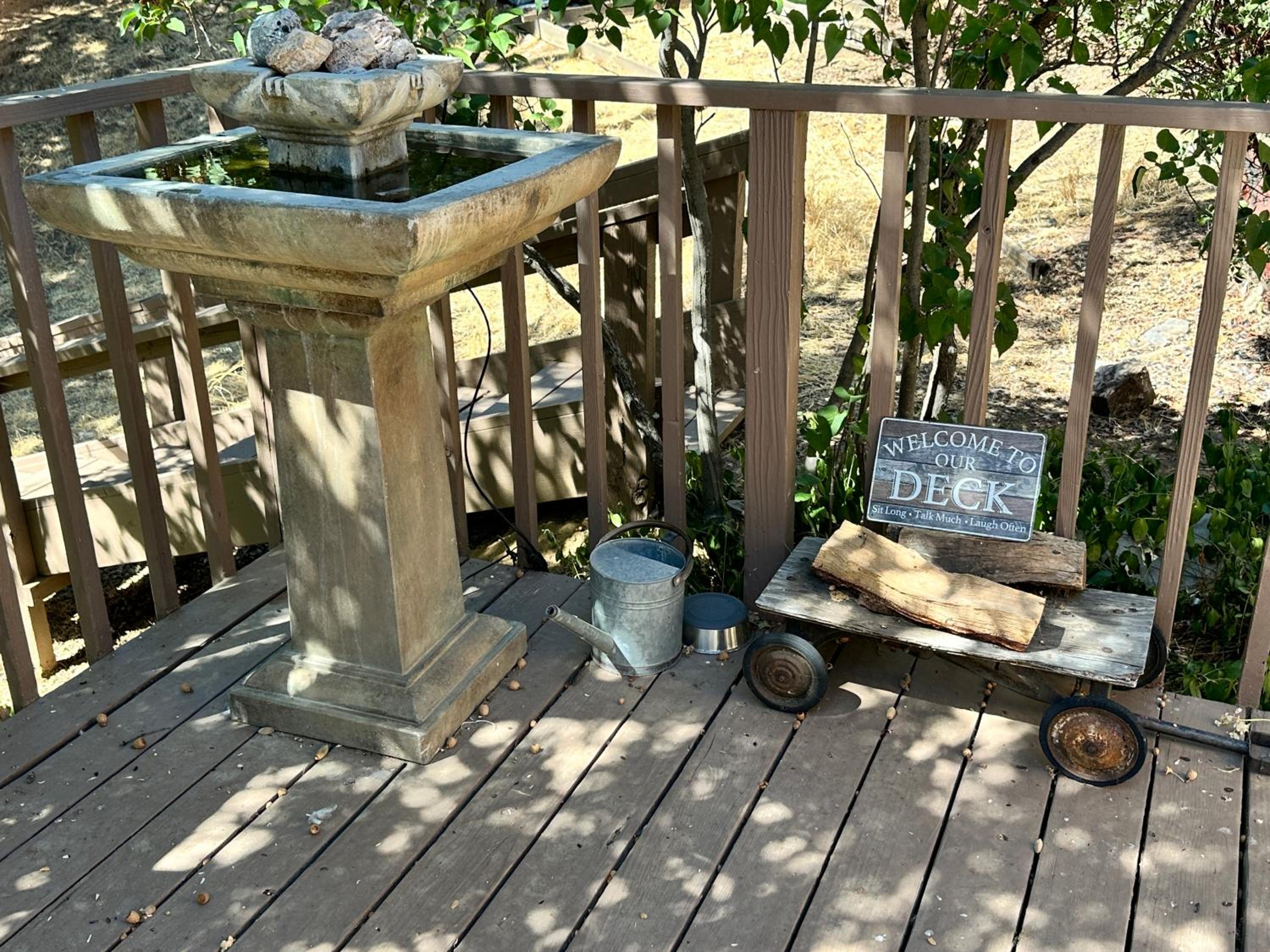 Photo 41