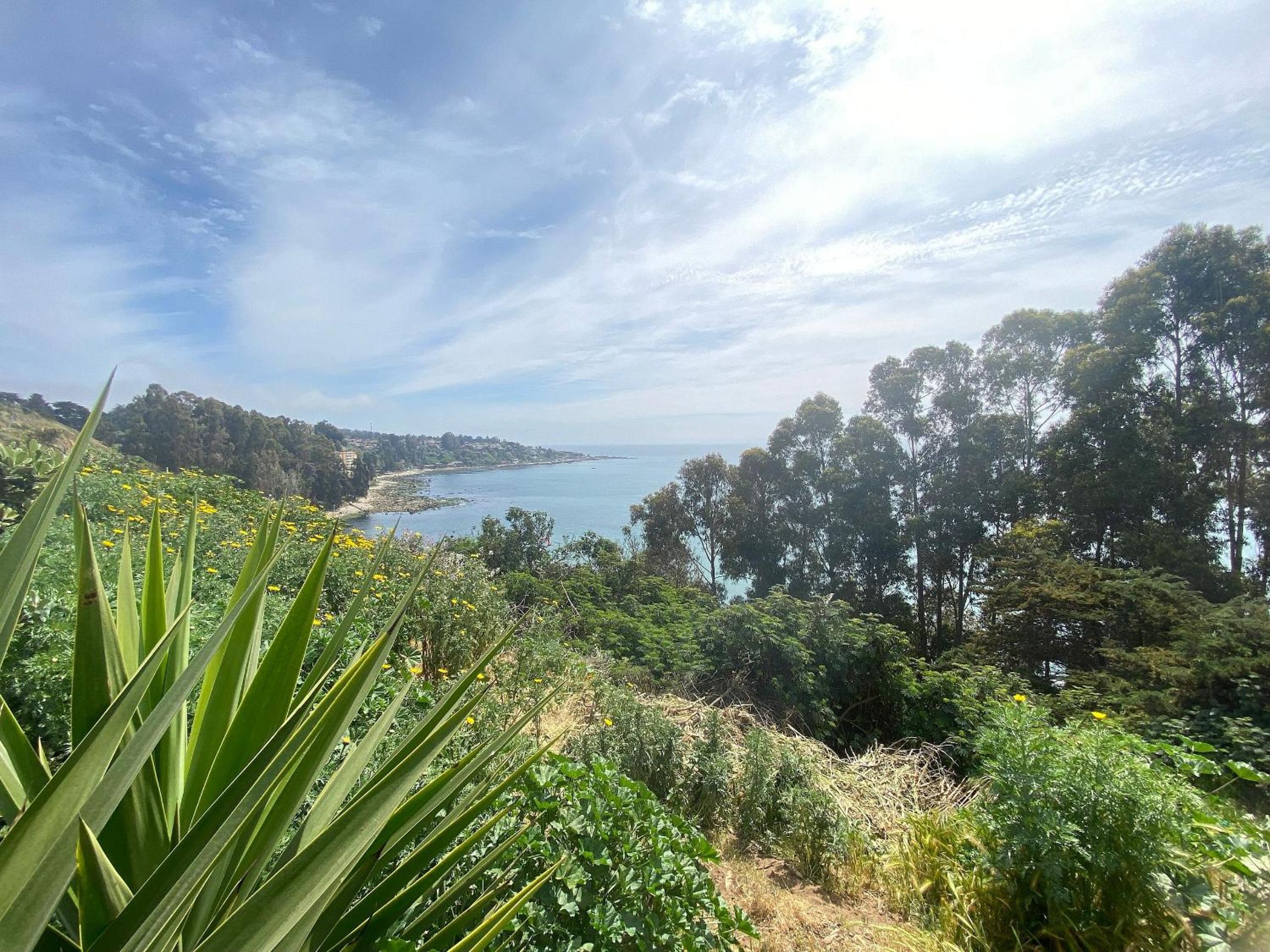 Cabaña, Naturaleza, Relajo y Playa, Horcón