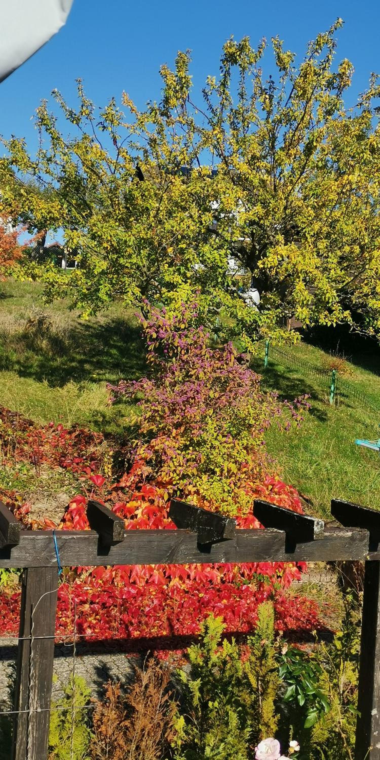 Ferienwohnung Schloss-See-Bergblick