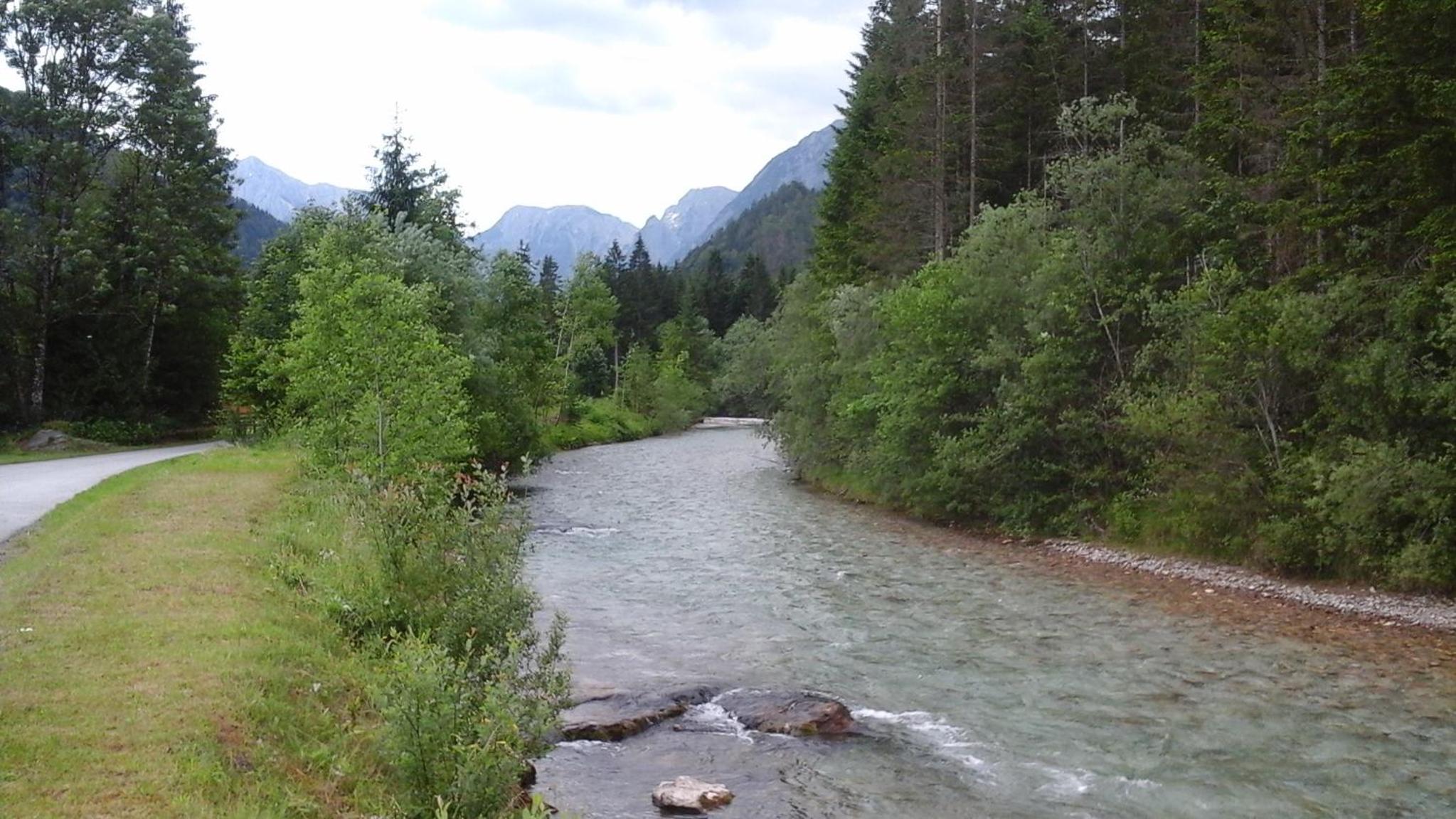 Photo 28
