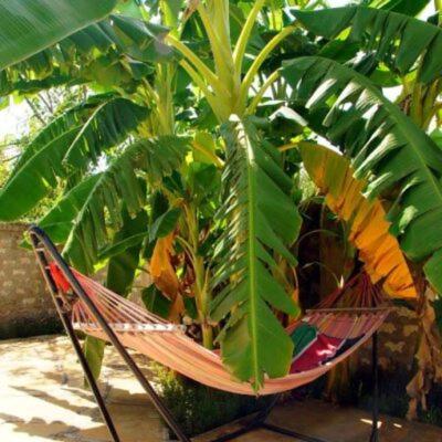 Jamboland Diani