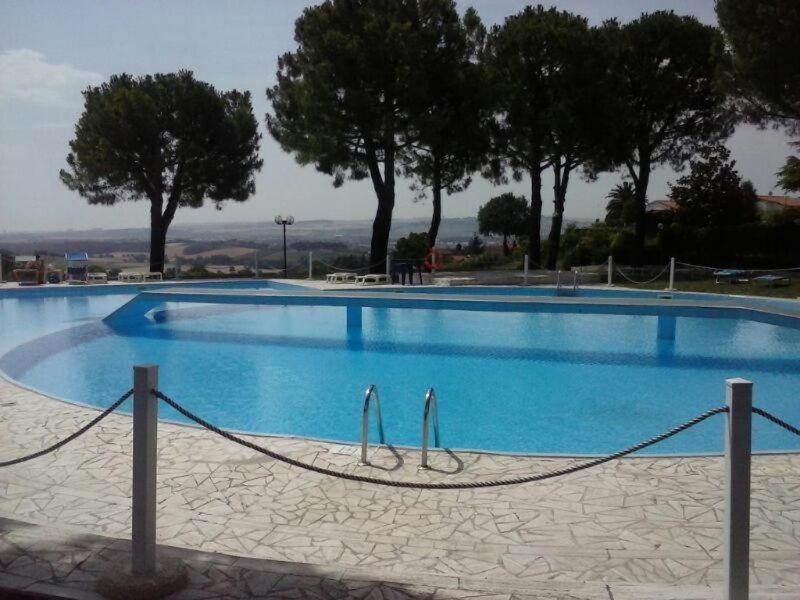 N195 - Numana, ampio pentalocale con giardino view 3