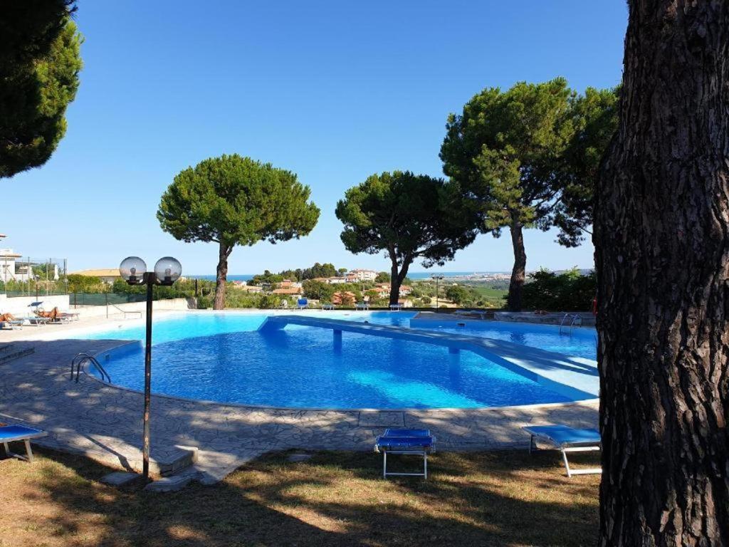 N195 - Numana, ampio pentalocale con giardino view 4