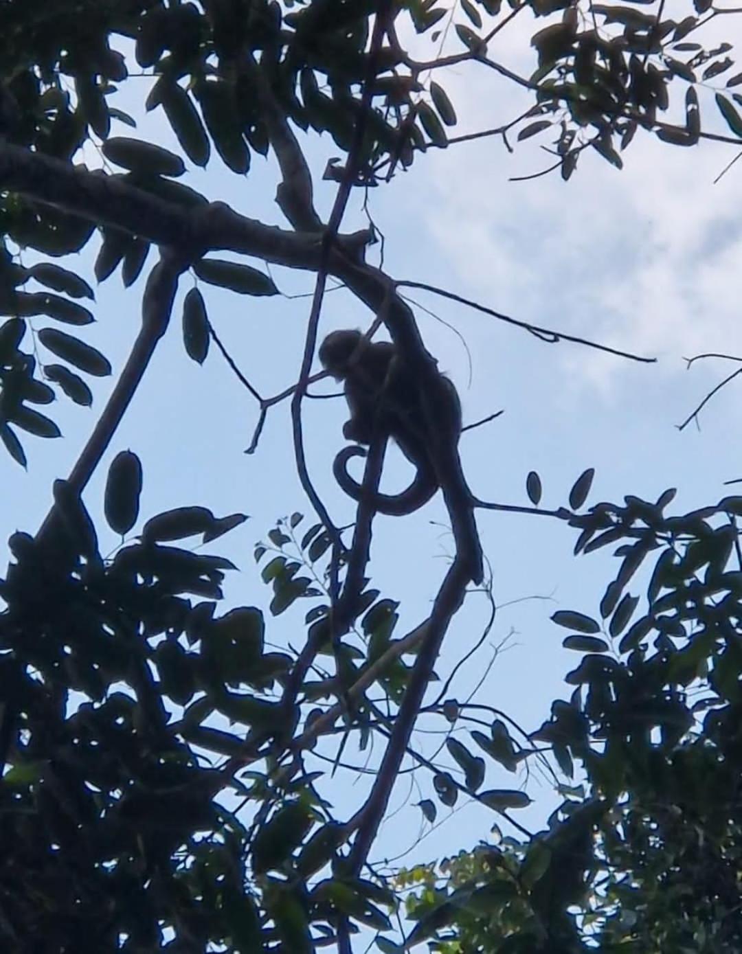 Paseó Ecológico El Susse