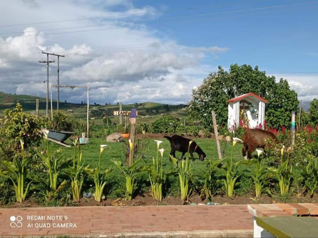 Villa Alejandra