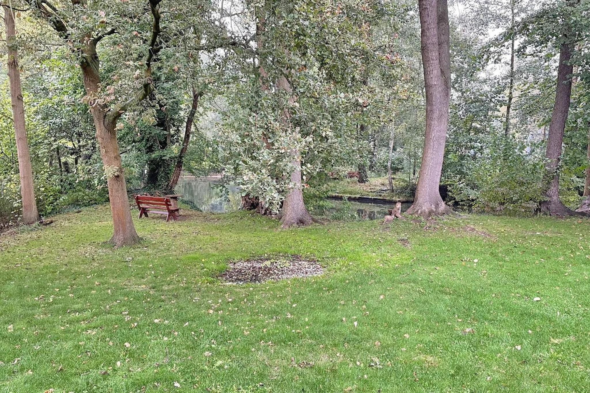 Spreeblick Baum 5