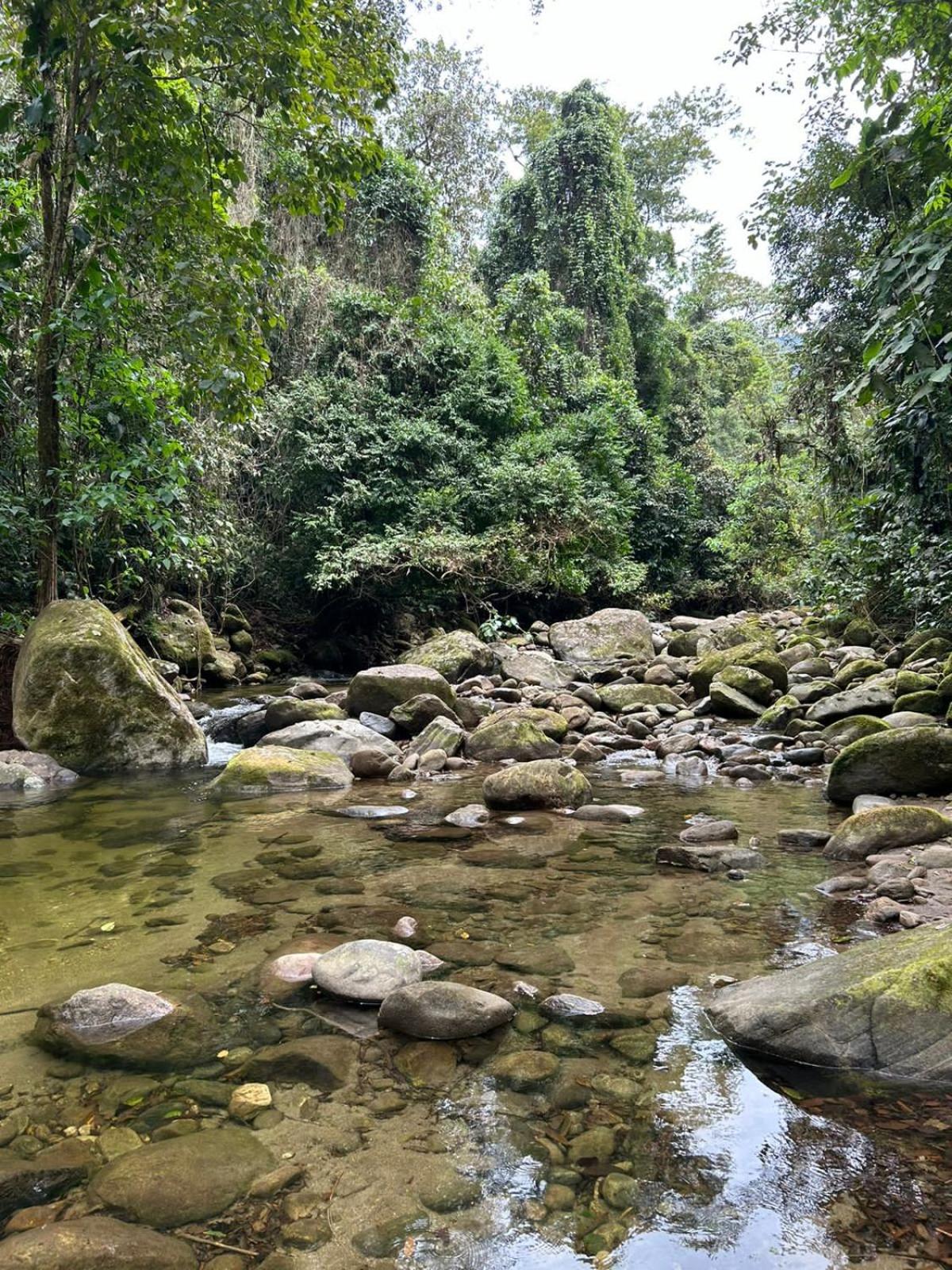 Cantinho da serra