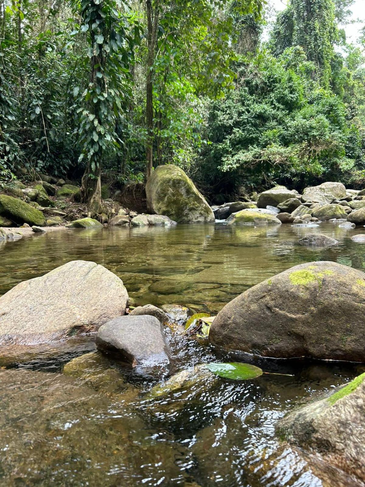Cantinho da serra